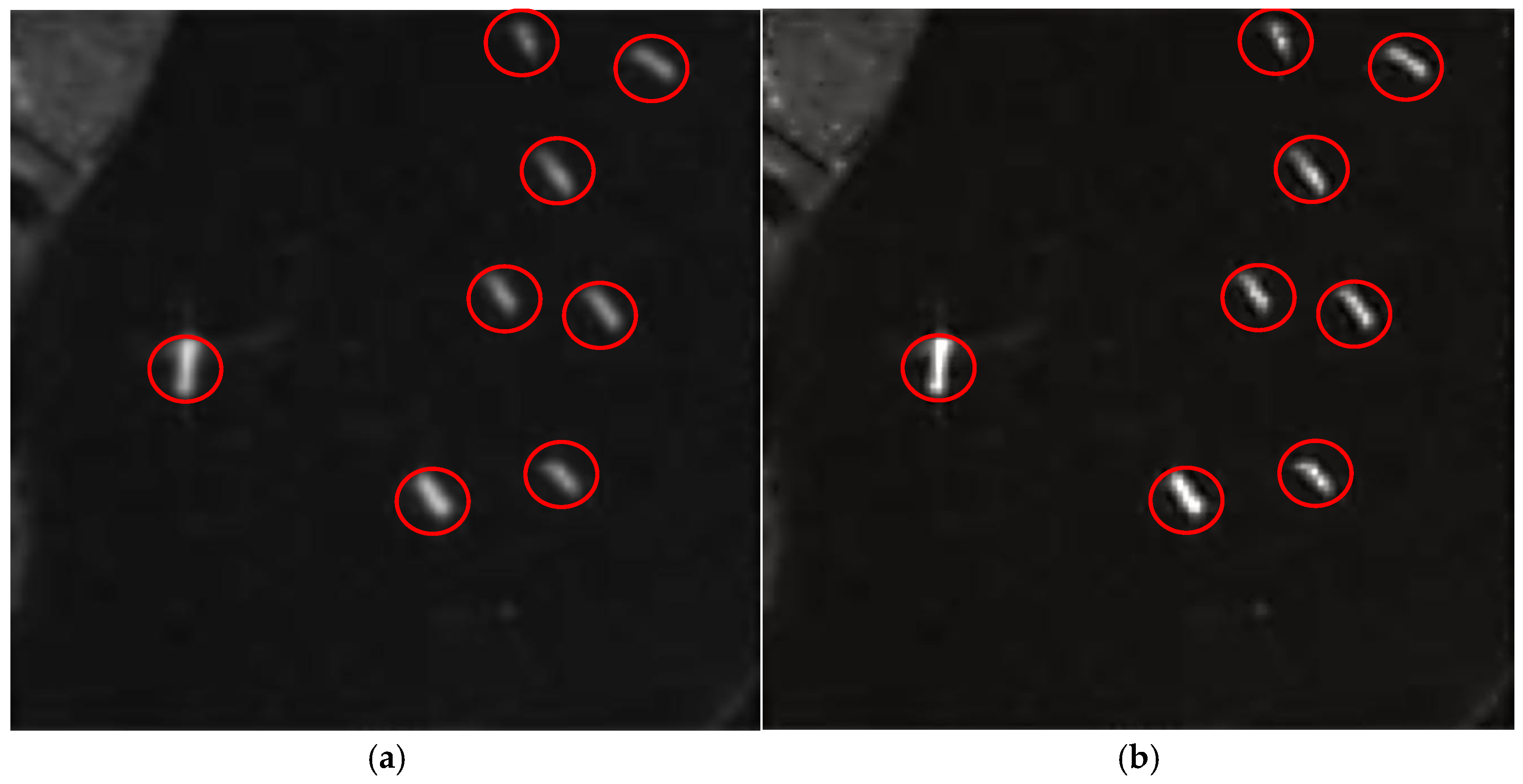 Remotesensing 18 00417 g011