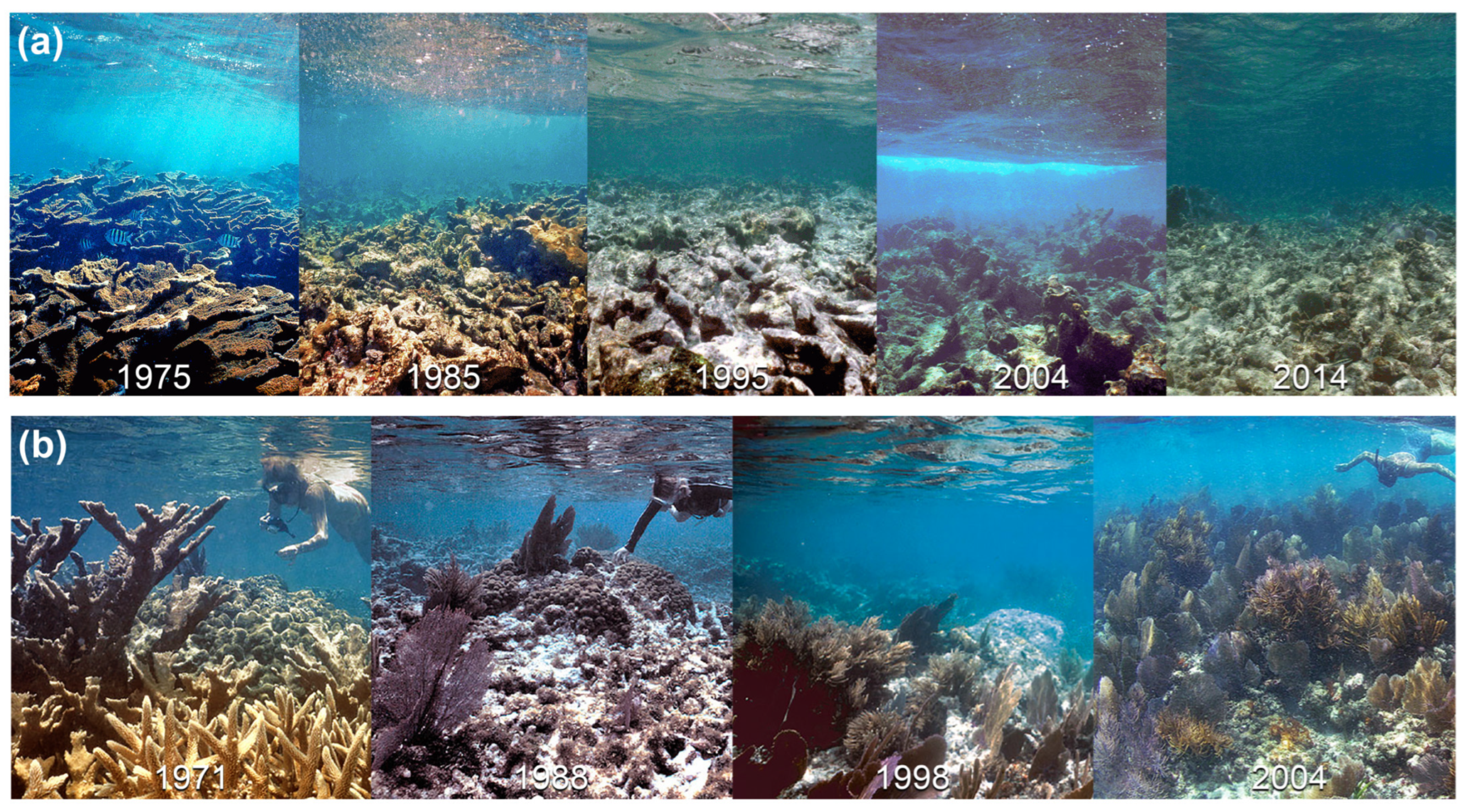 Remotesensing 18 00463 g001 Remotesensing 18 00463 g001