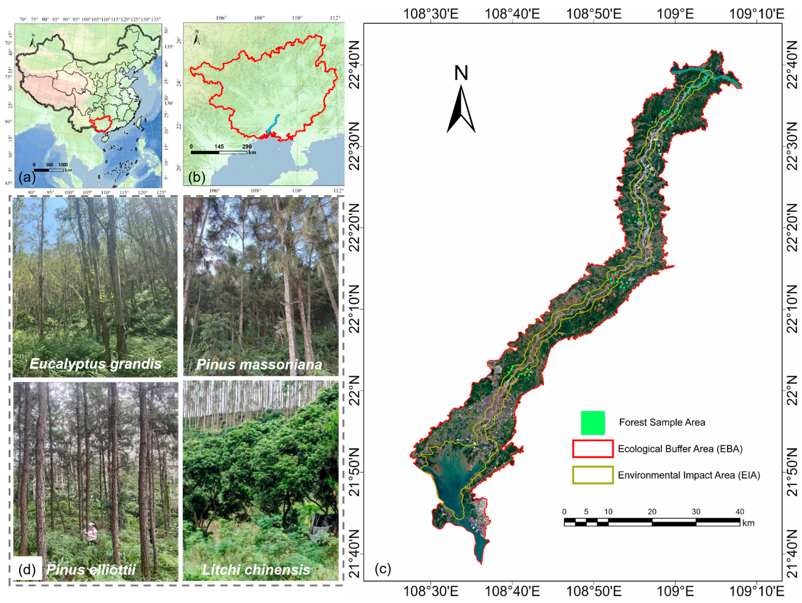 Remotesensing 18 00475 g001 Remotesensing 18 00475 g001