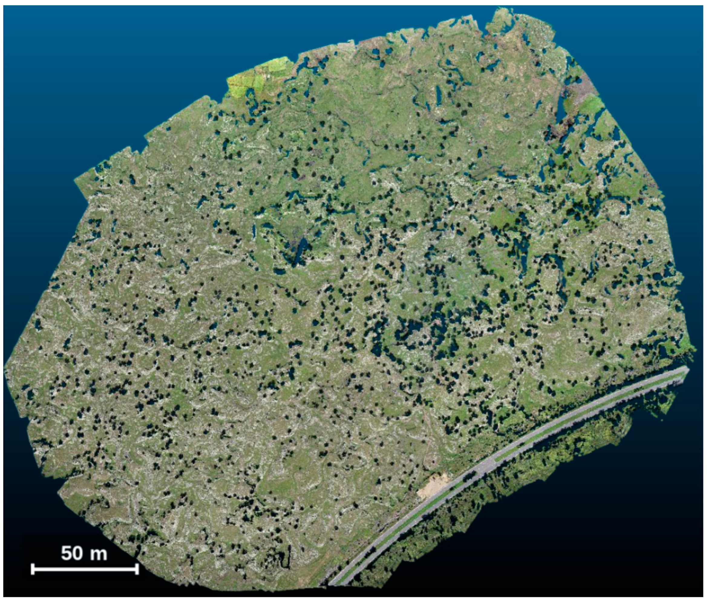 Remotesensing 18 00512 g008
