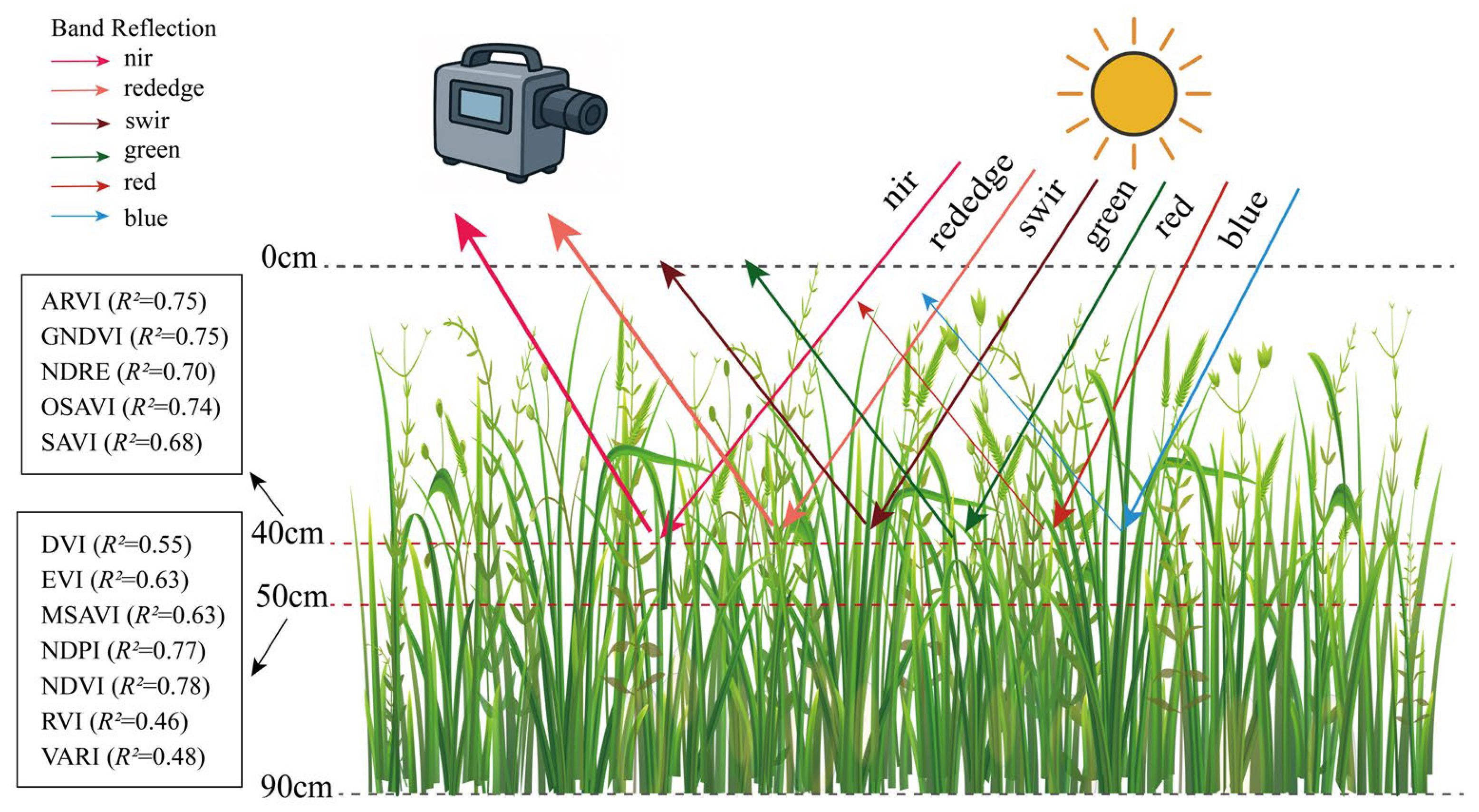 Remotesensing 18 00554 g006