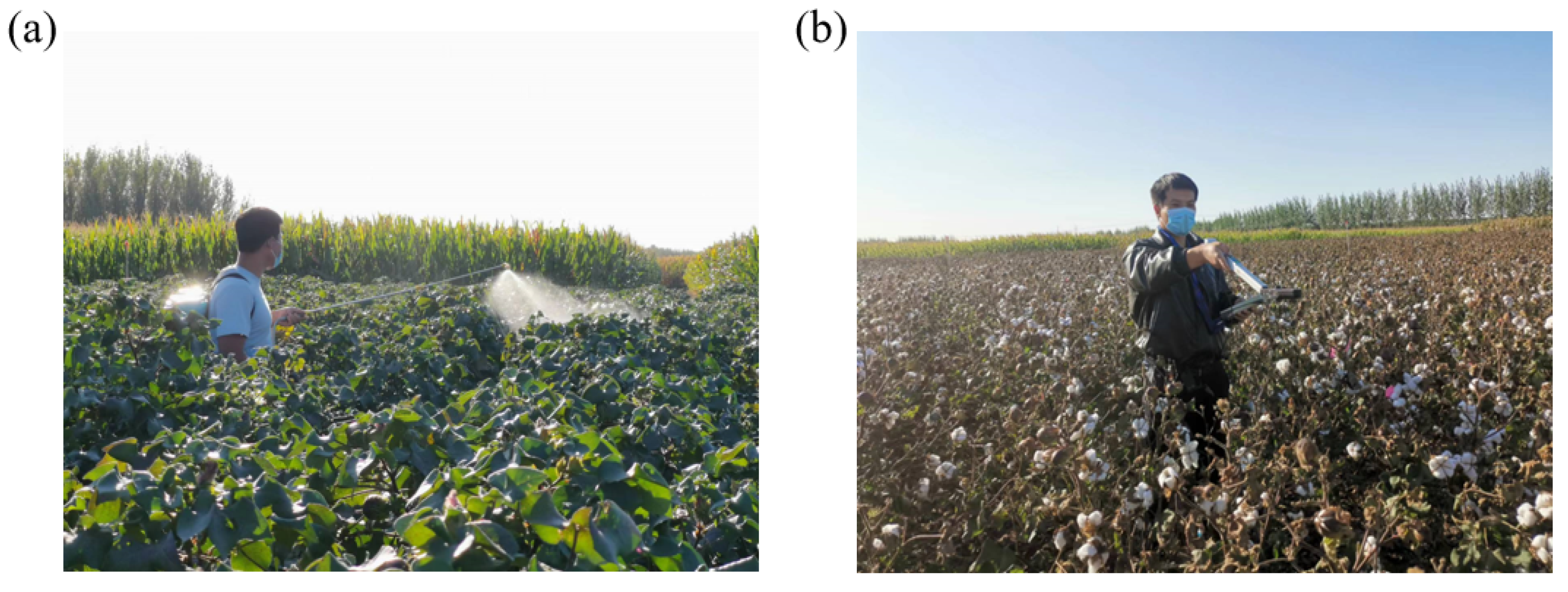 Remotesensing 18 00609 g001