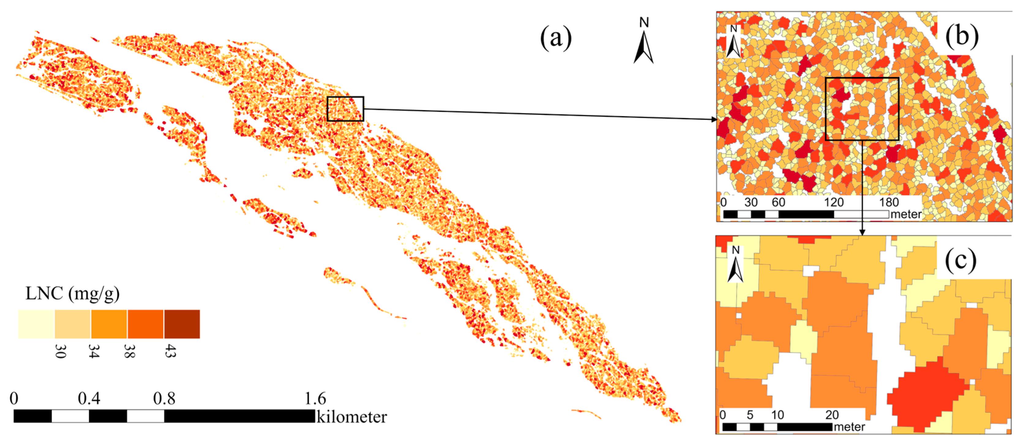 Remotesensing 18 00909 g009