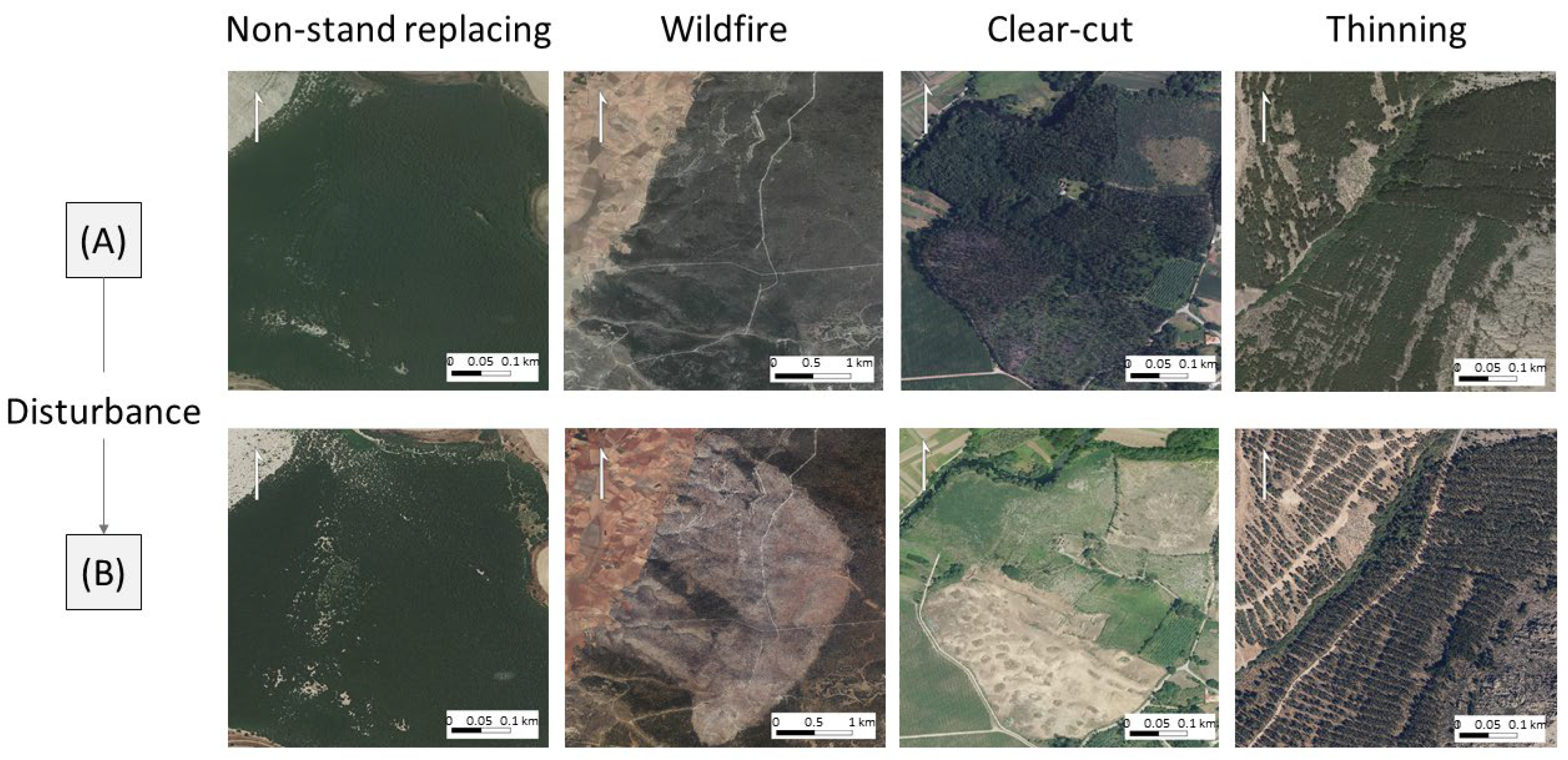 Remotesensing 18 01038 g003 Remotesensing 18 01038 g003