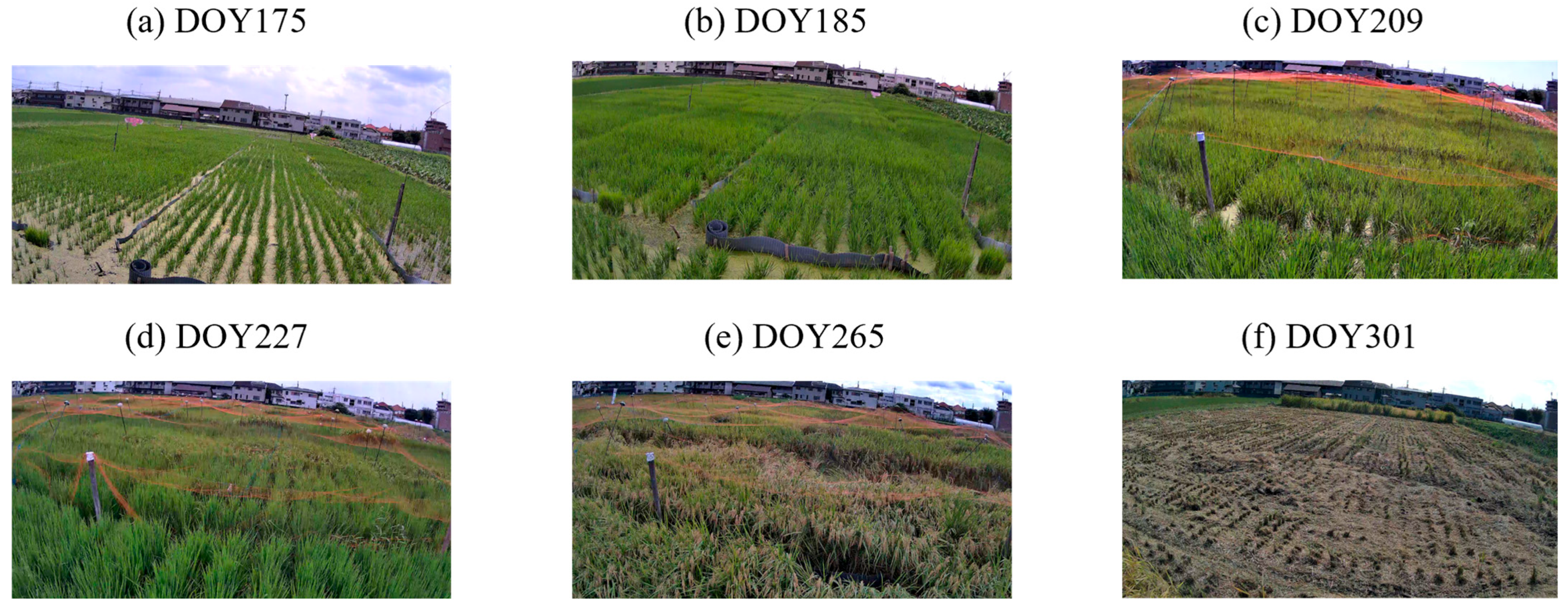 Remotesensing 18 01055 g004