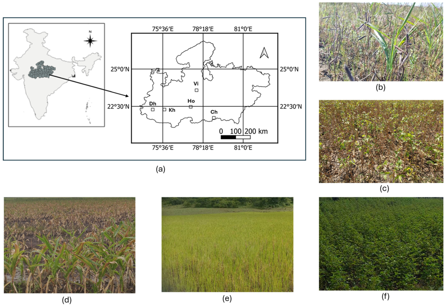 Remotesensing 18 01238 g001 Remotesensing 18 01238 g001