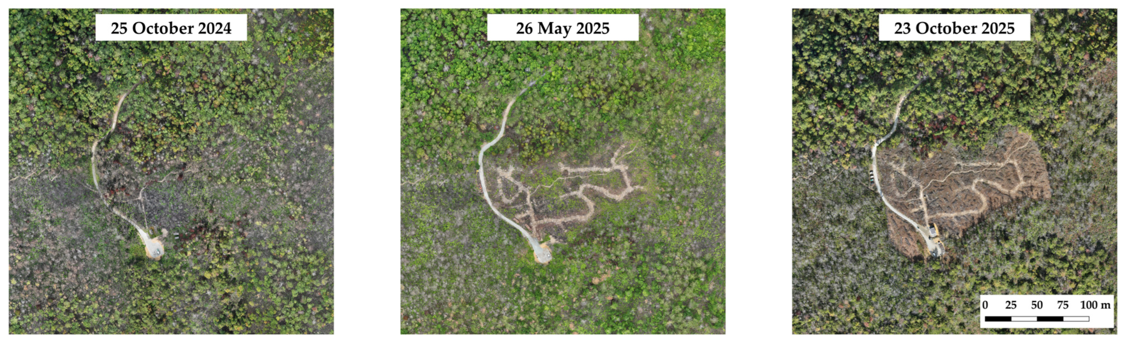 Remotesensing 18 01262 g004