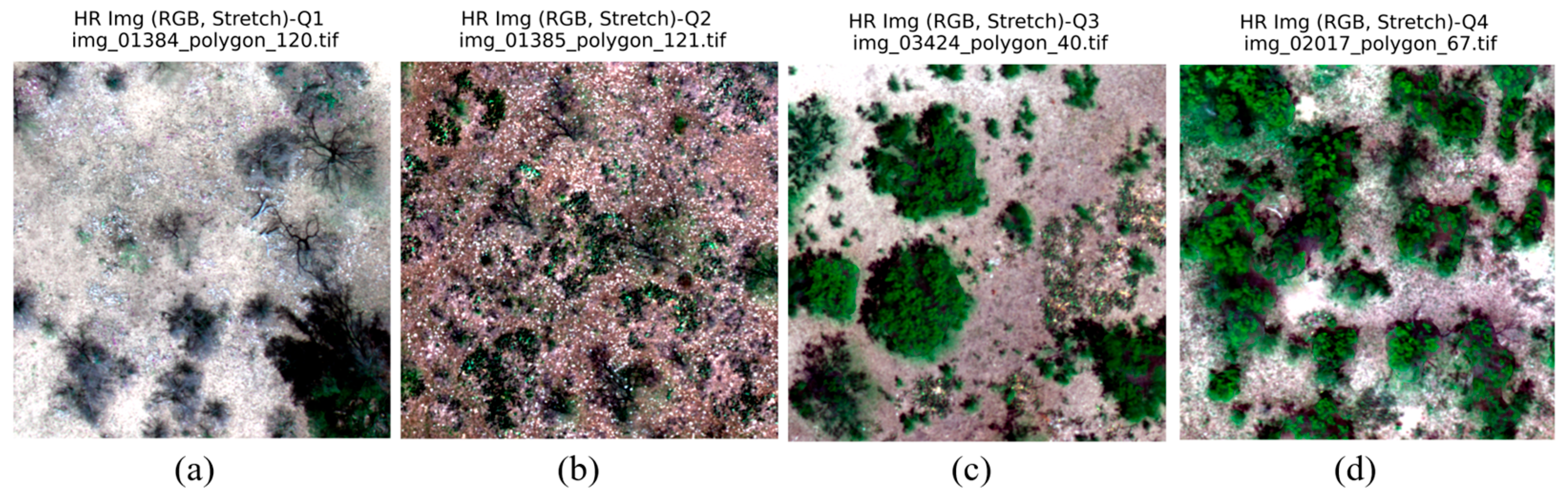 Remotesensing 18 01419 g006