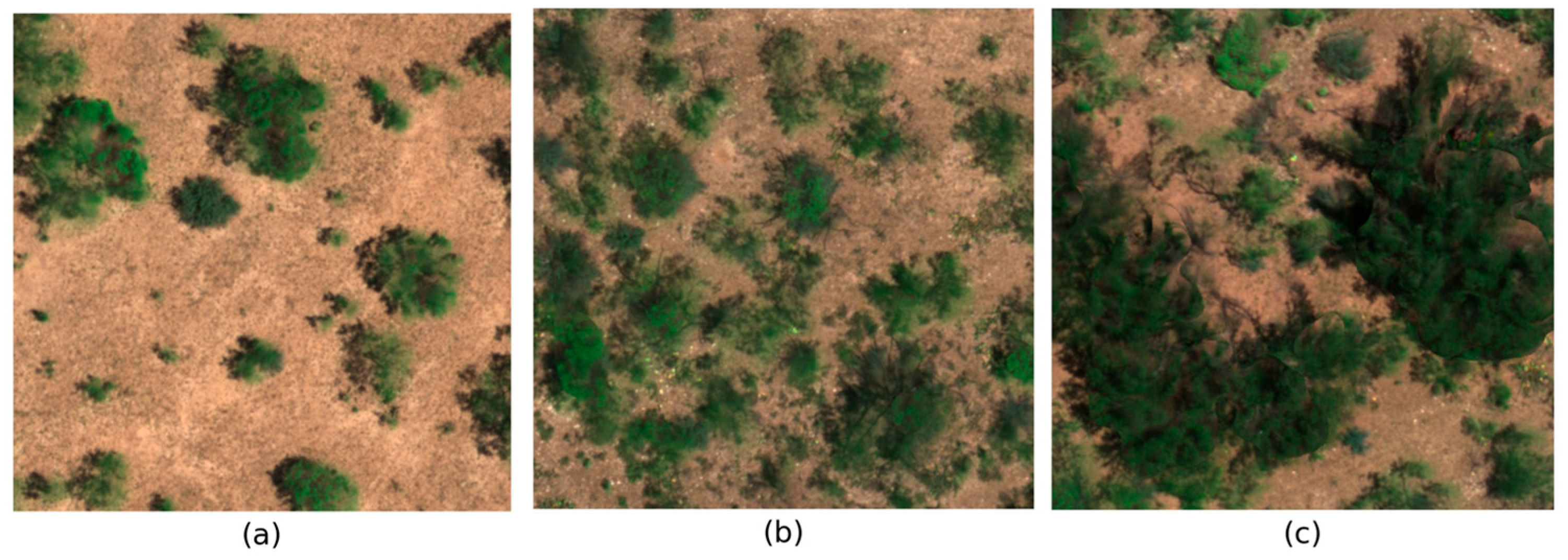 Remotesensing 18 01419 g007