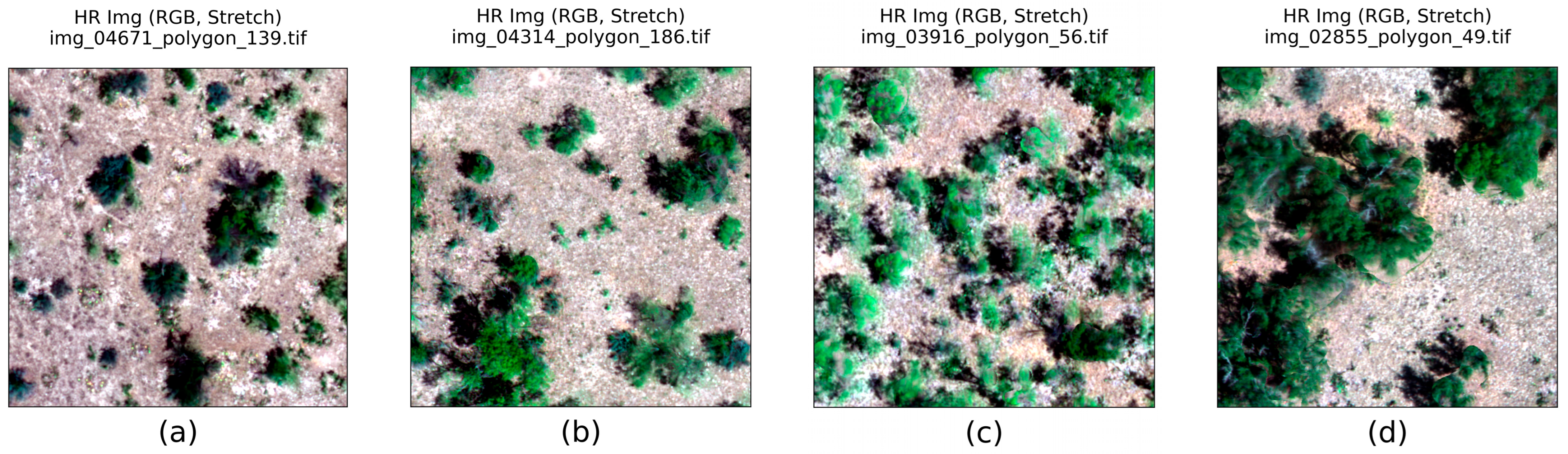 Remotesensing 18 01419 g008
