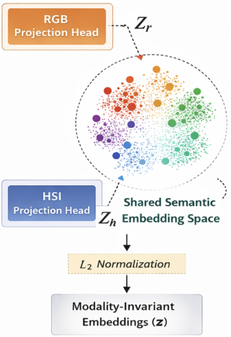 Remotesensing 18 01444 g003