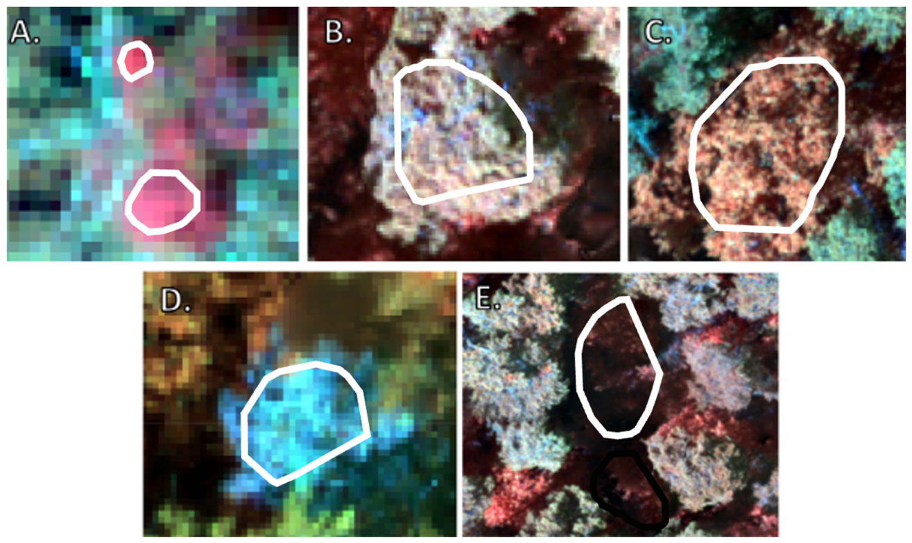 Remotesensing 18 01607 g003 Remotesensing 18 01607 g003