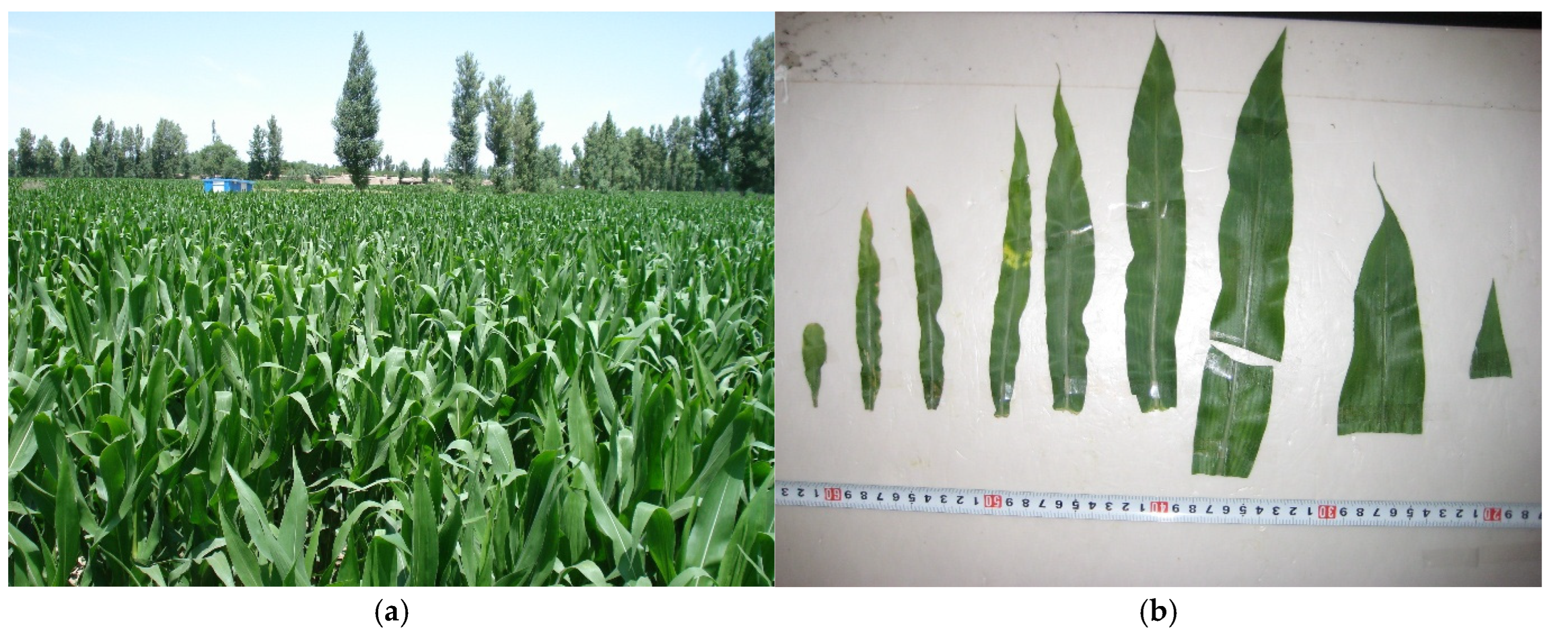 Remotesensing 18 01660 g003 Remotesensing 18 01660 g003