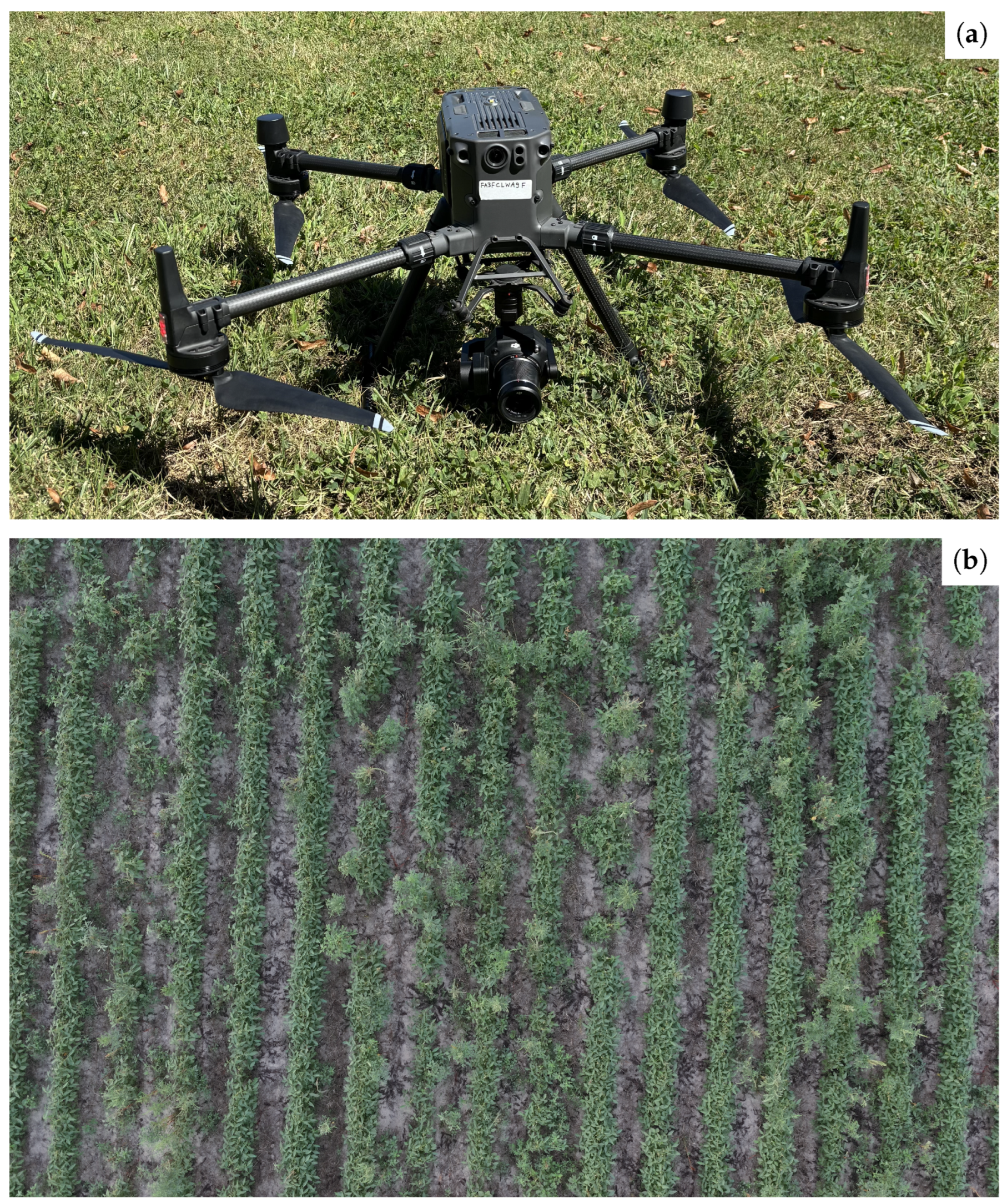 Remotesensing 18 01720 g001
