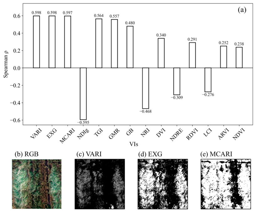 Remotesensing 18 01860 g004 Remotesensing 18 01860 g004