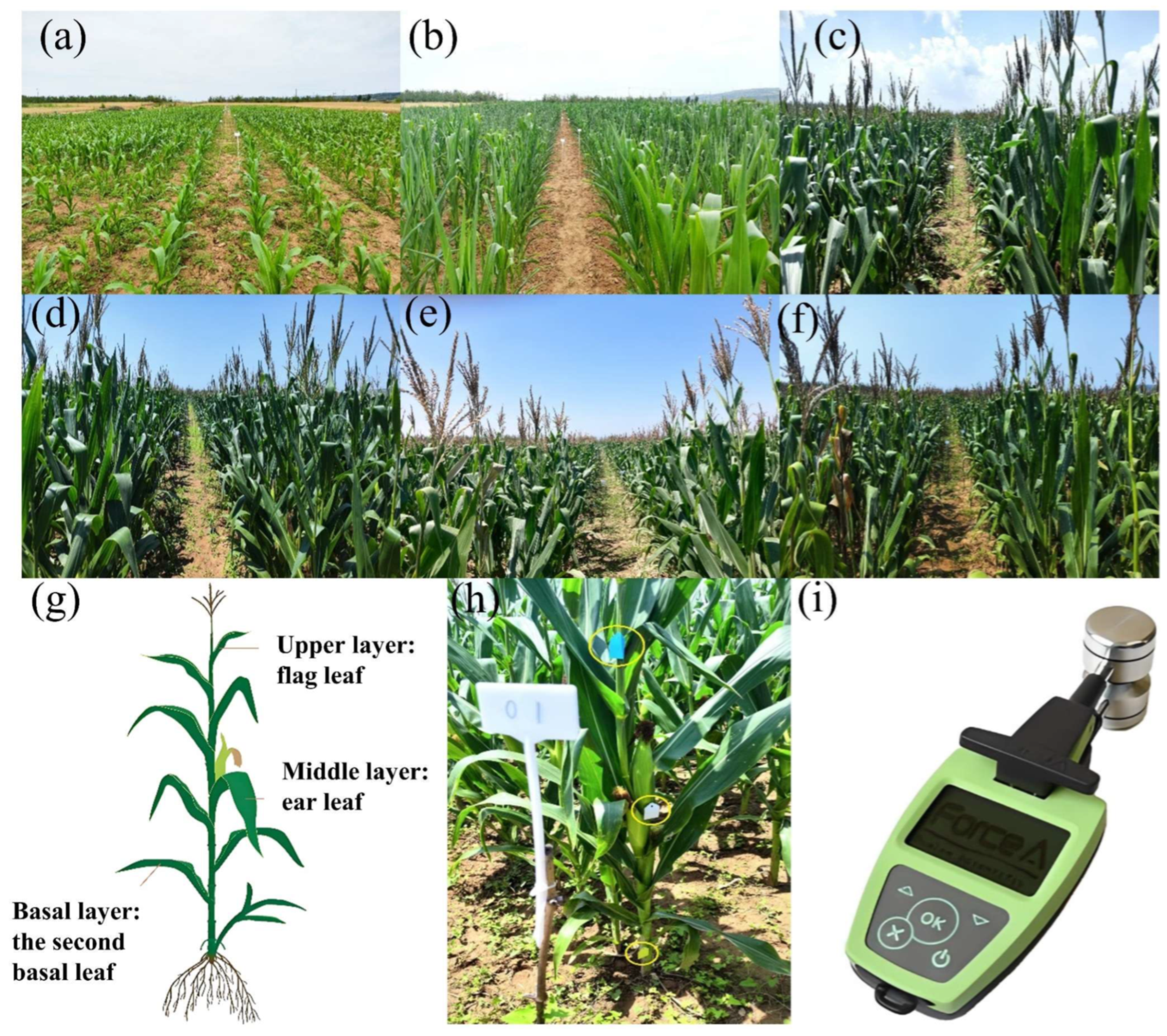 Remotesensing 18 01978 g002