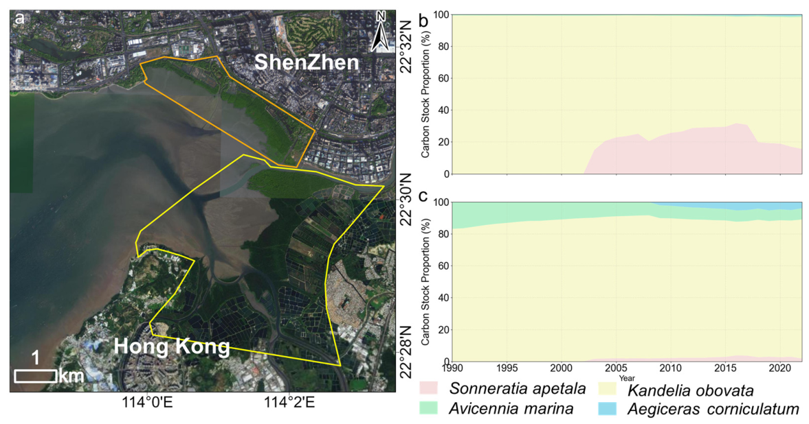 Remotesensing 18 02047 g011 Remotesensing 18 02047 g011