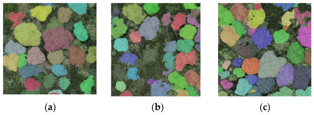 Remotesensing 18 02054 g005