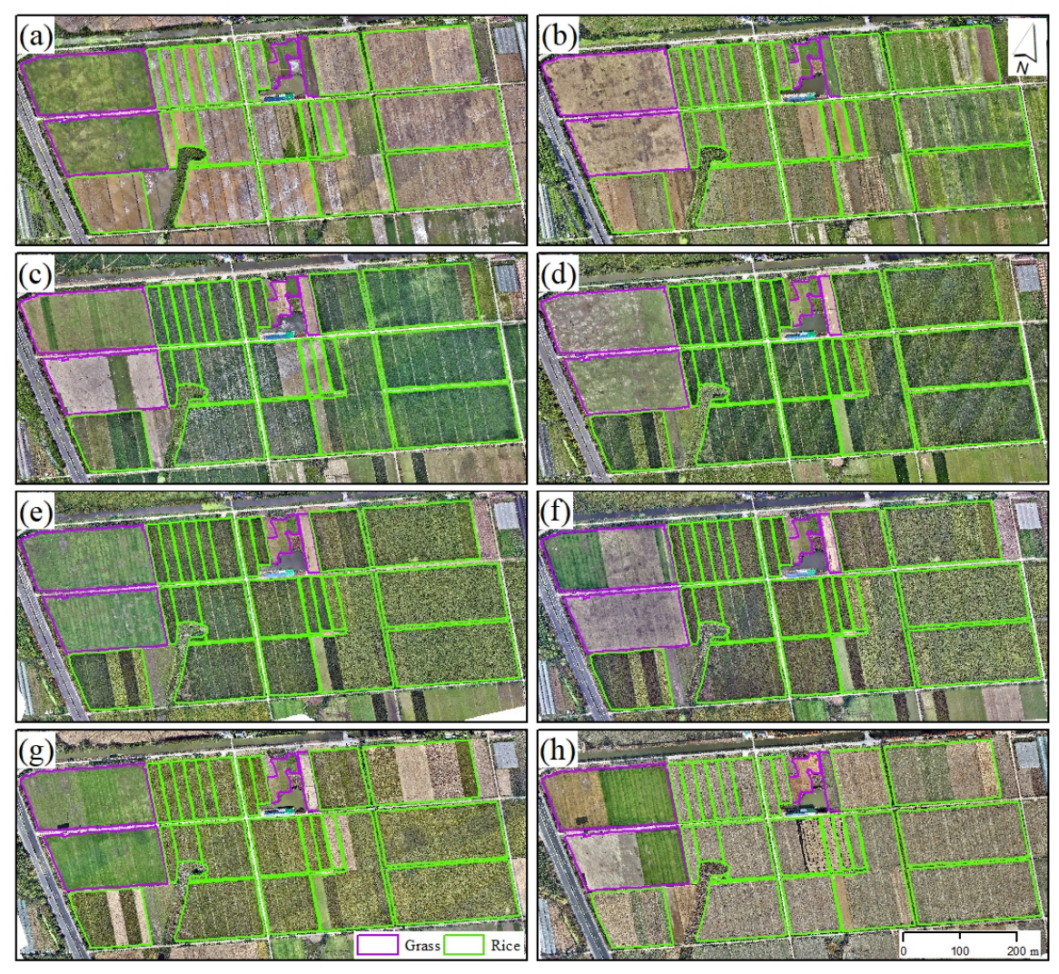 Remotesensing 18 02653 g002 Remotesensing 18 02653 g002