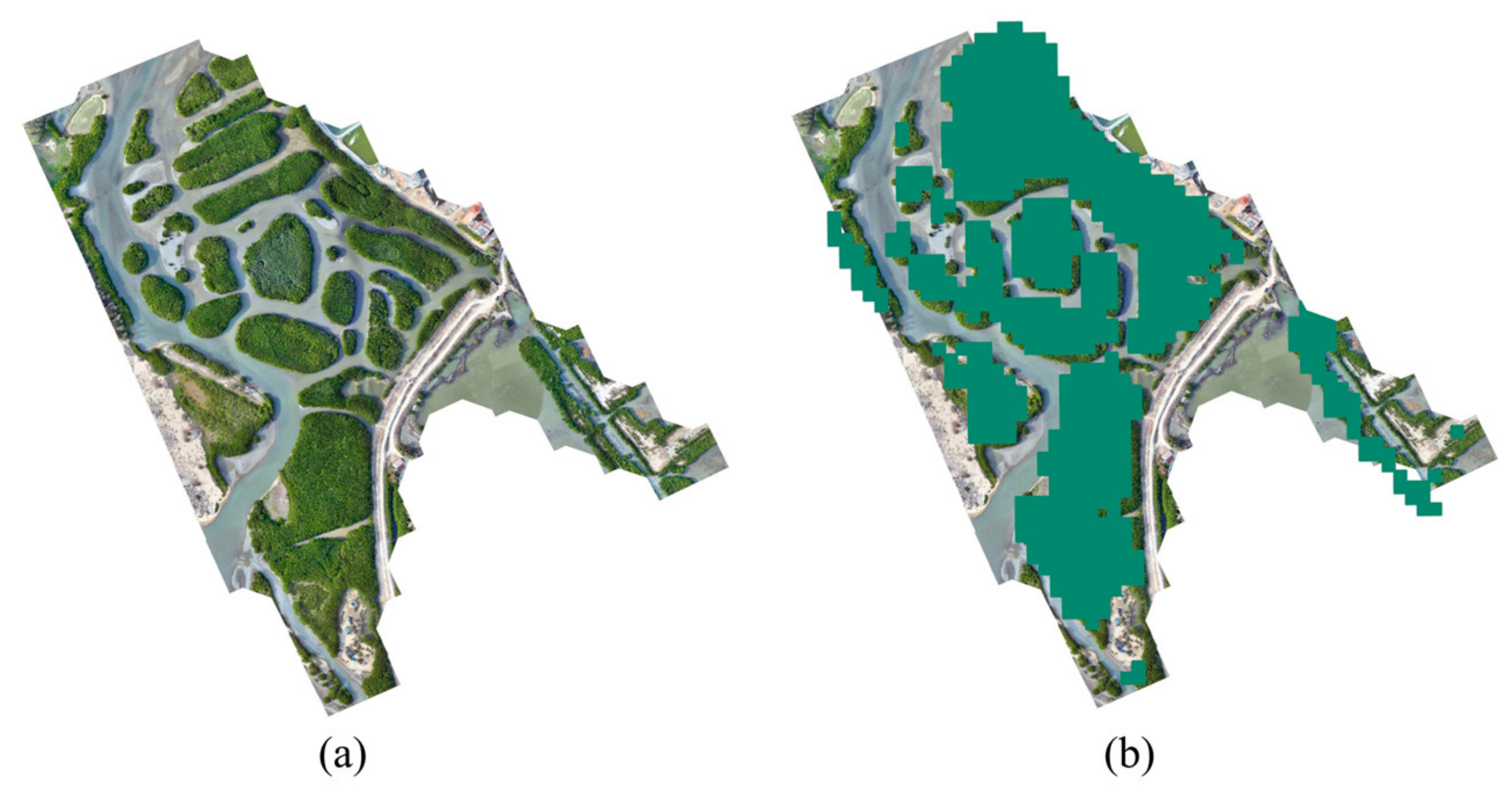 Remotesensing 18 02975 g012