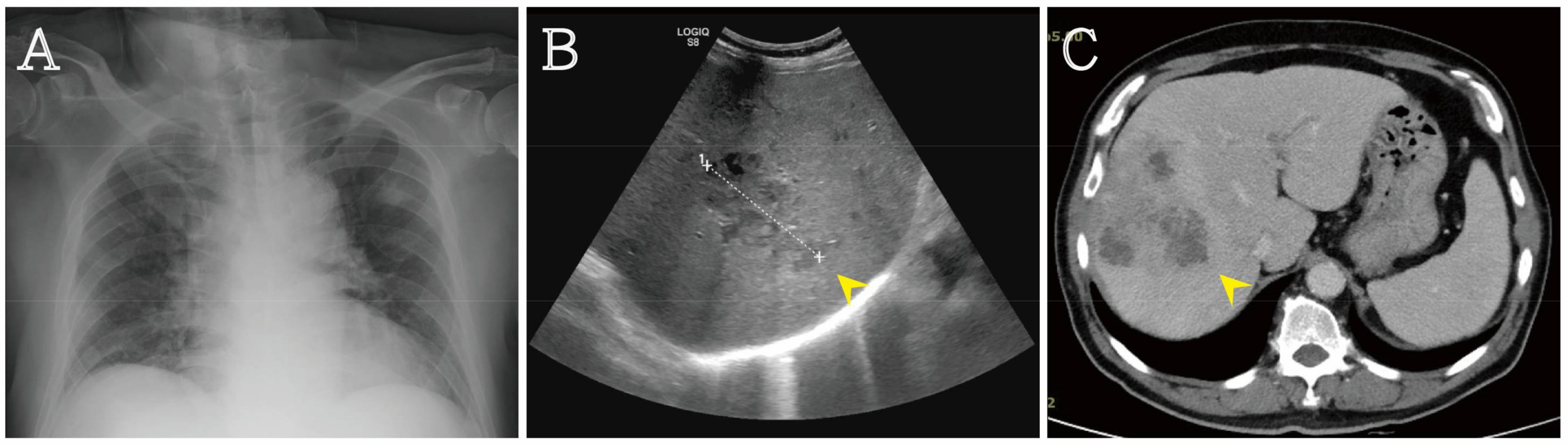 Reports 01 00007 g002 550