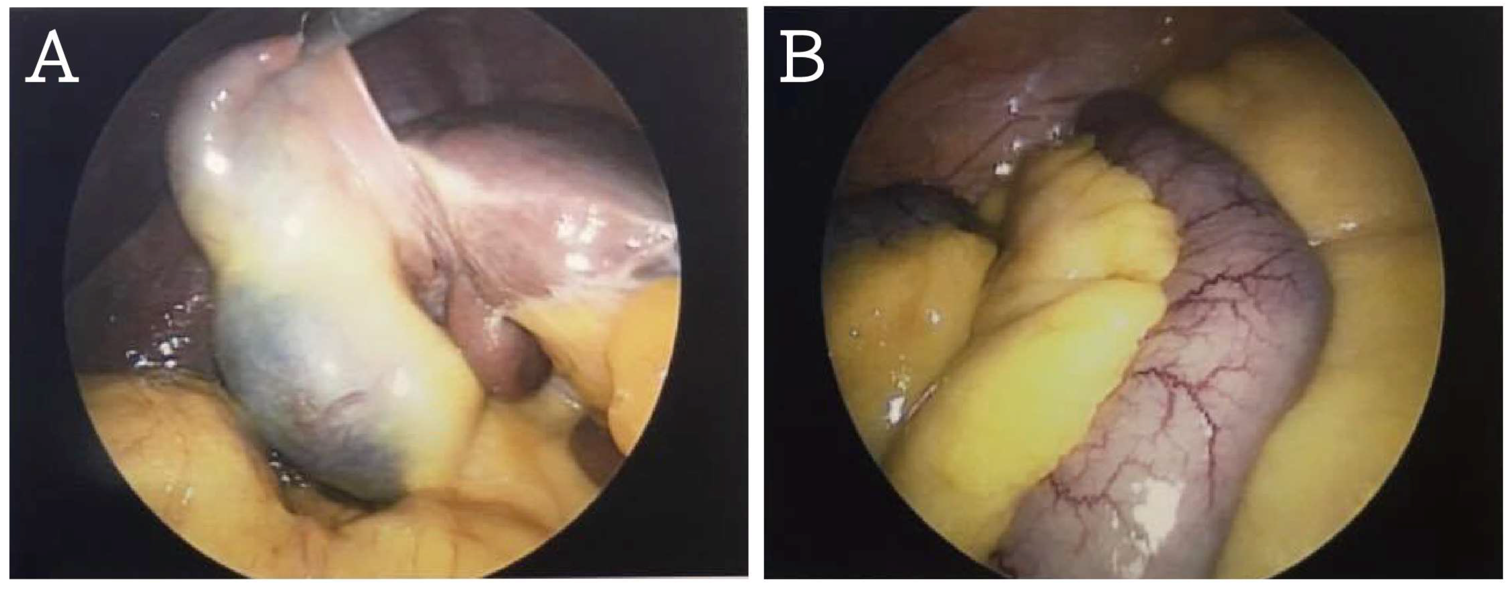 Reports 01 00010 g003