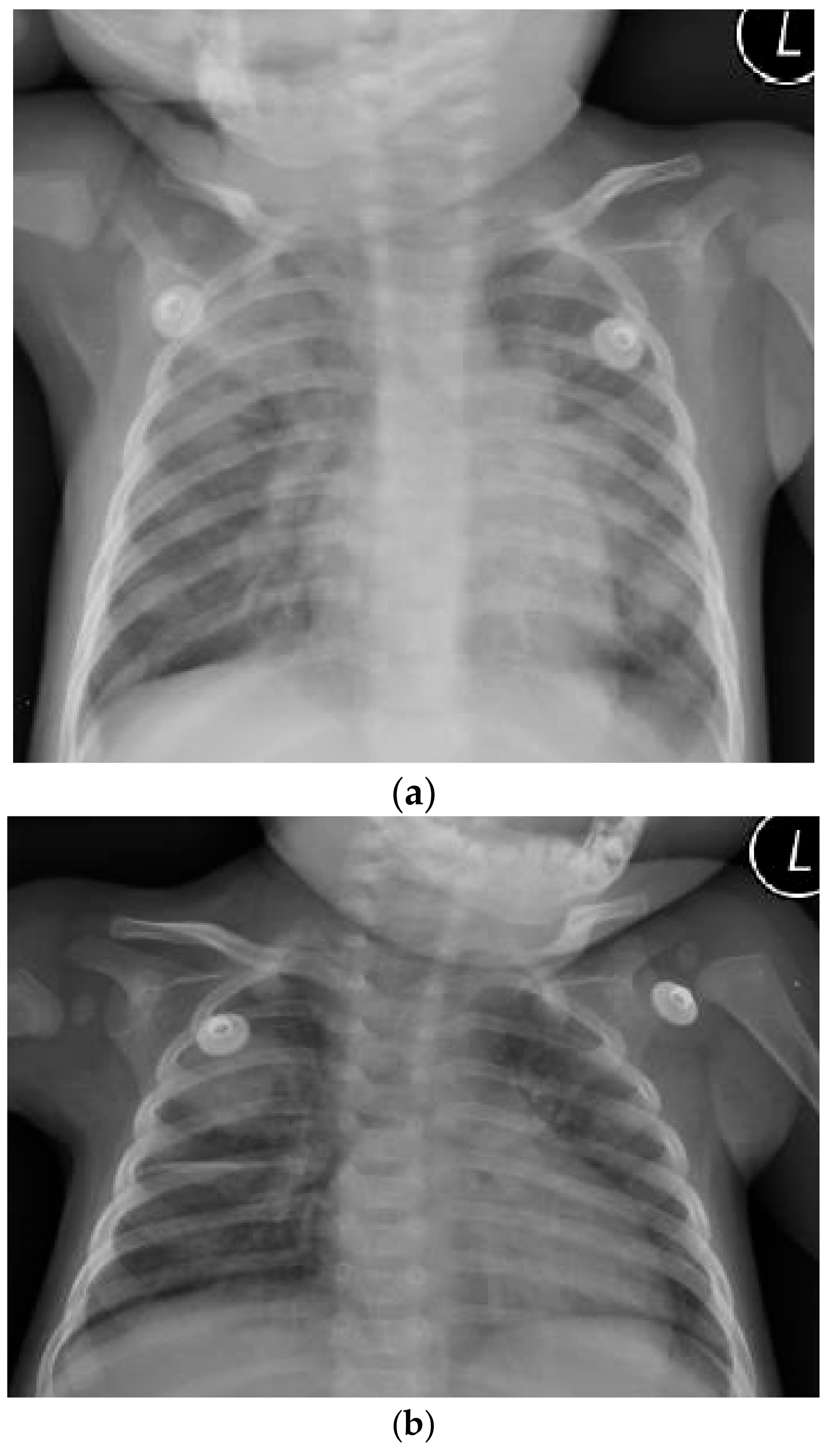 Reports 01 00012 g001