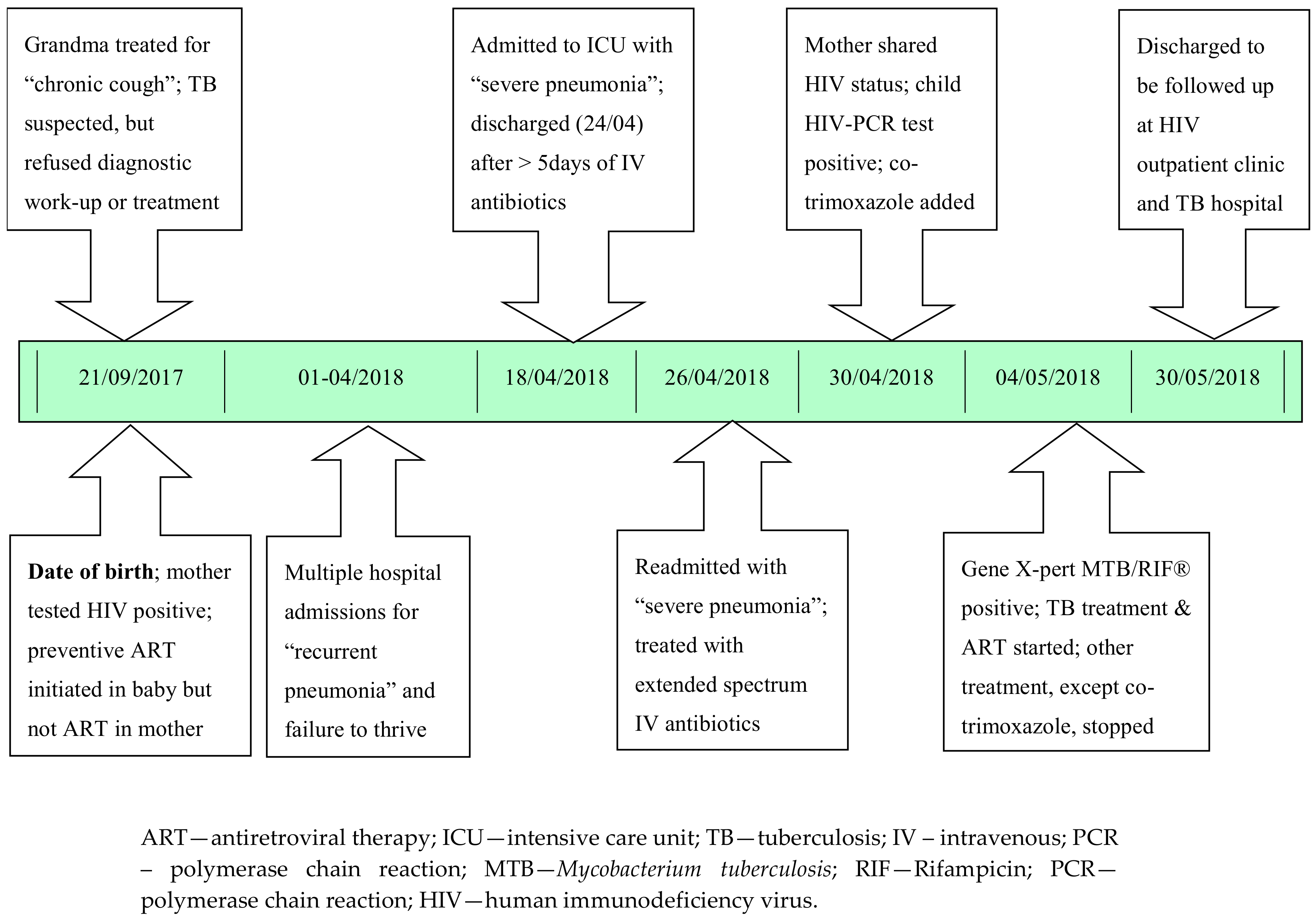 Reports 01 00012 g002