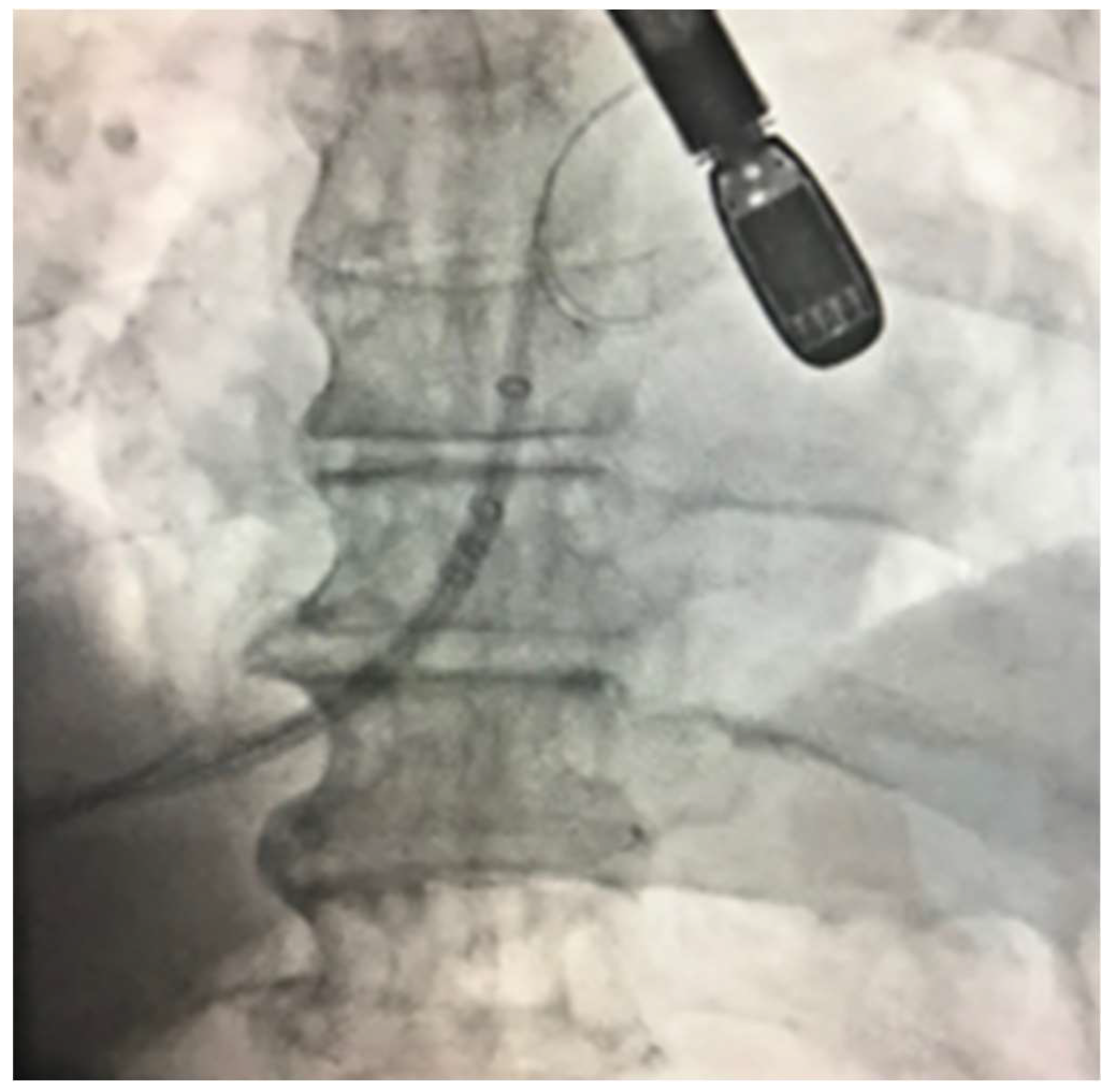 Reports 01 00015 g001 Reports 01 00015 g001