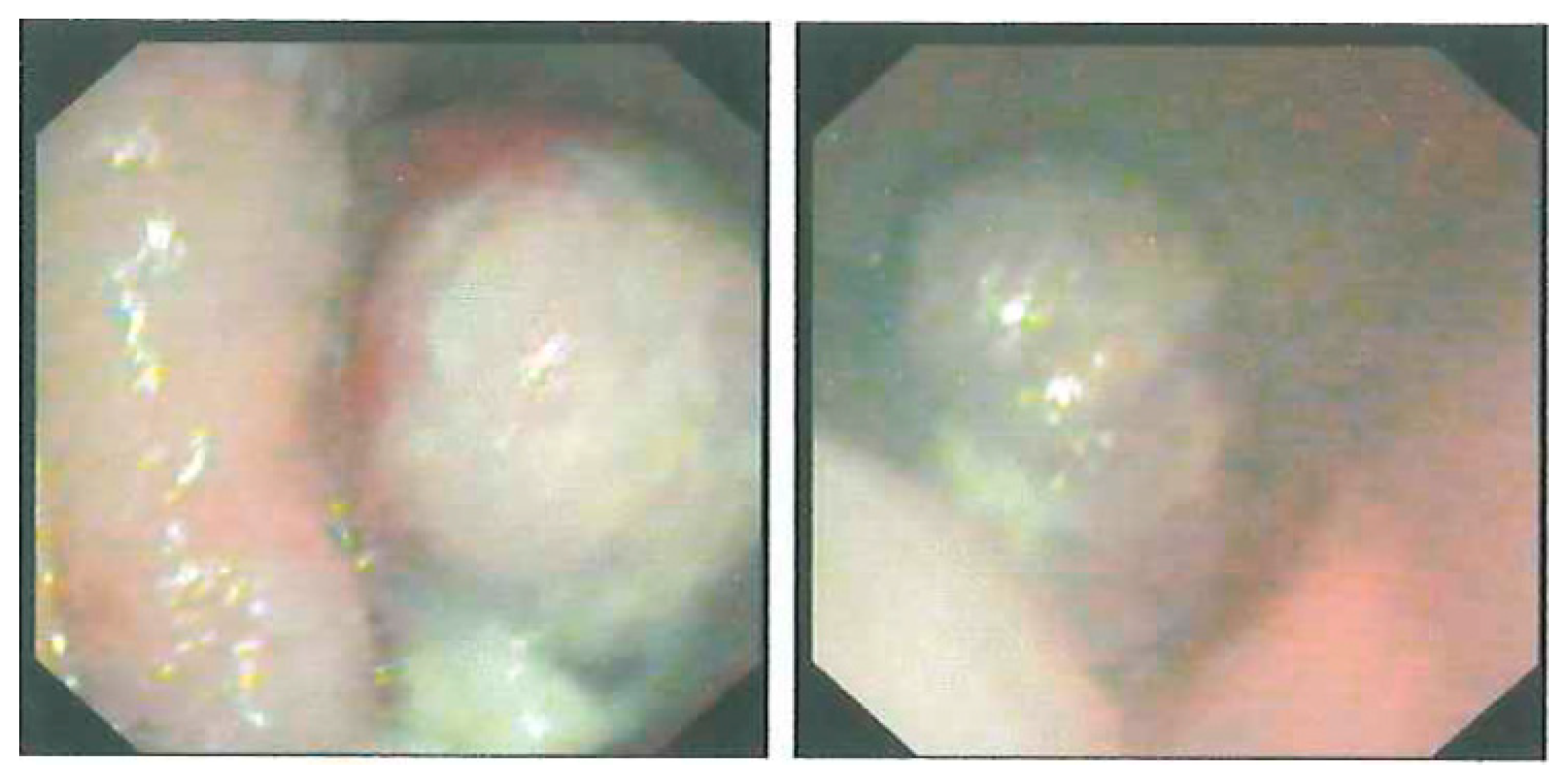 Reports 01 00016 g001 Reports 01 00016 g001