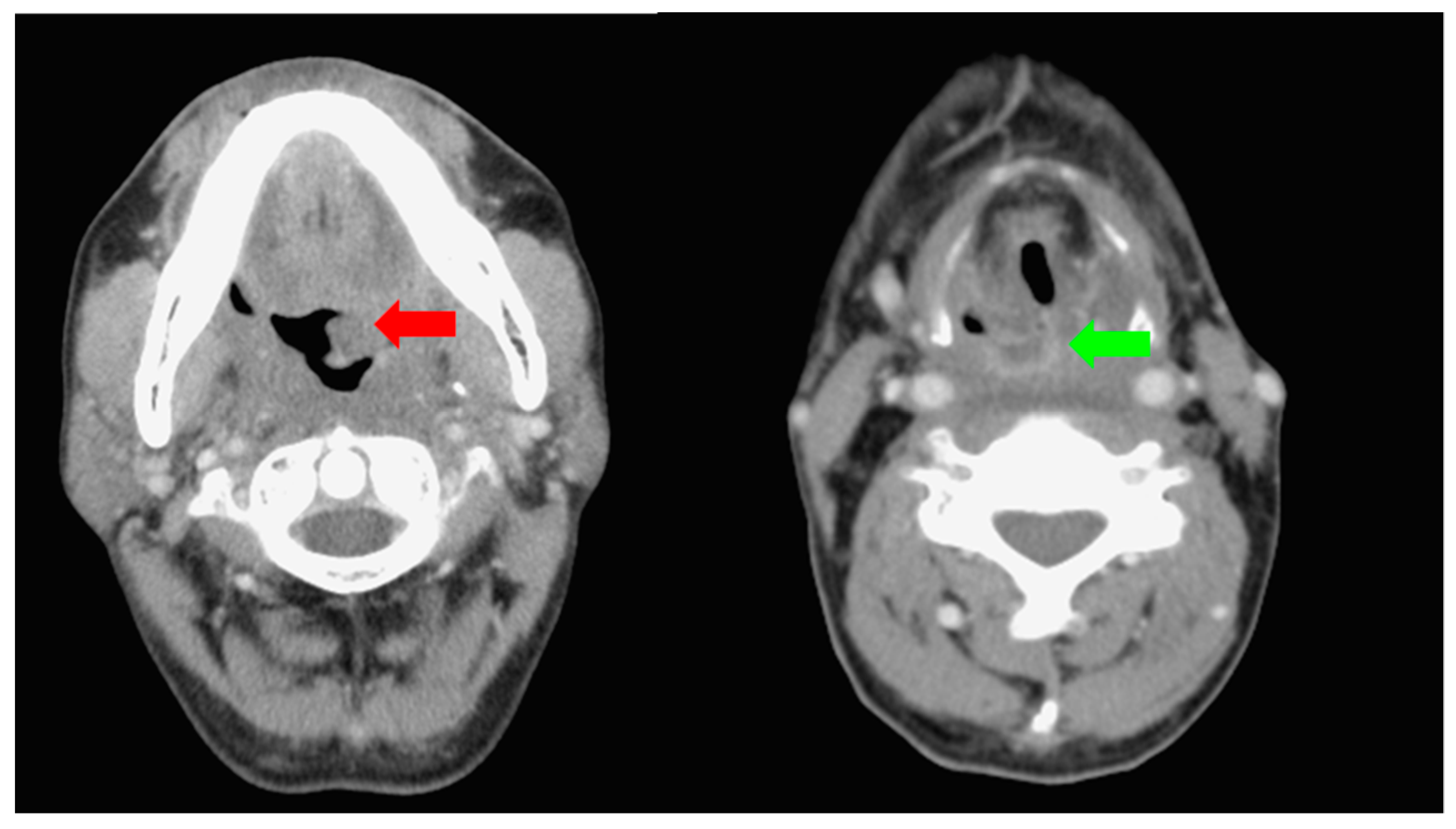 Reports 01 00016 g002 Reports 01 00016 g002