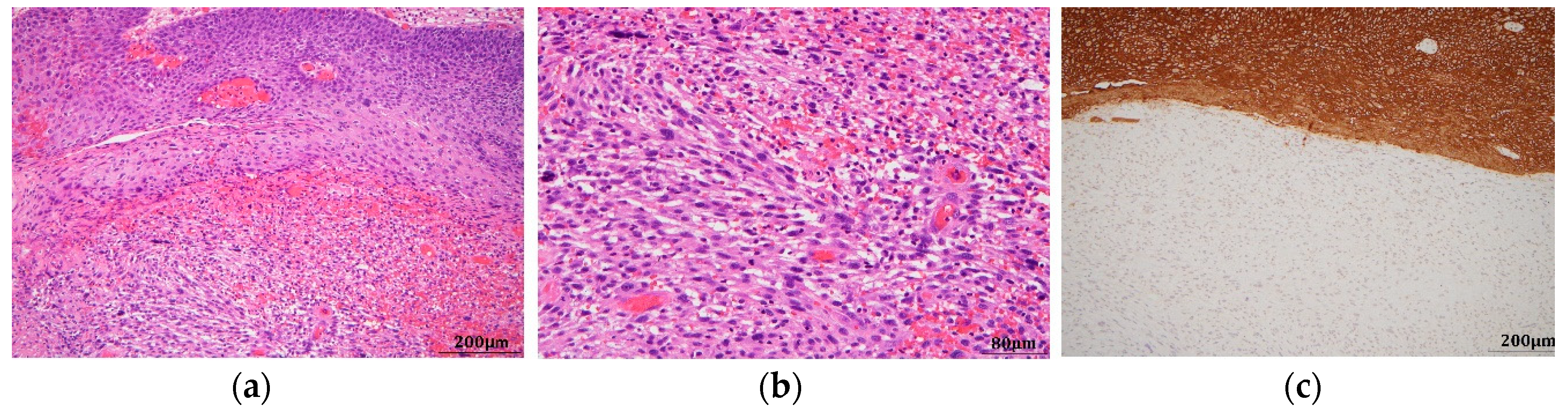 Reports 01 00016 g003 Reports 01 00016 g003