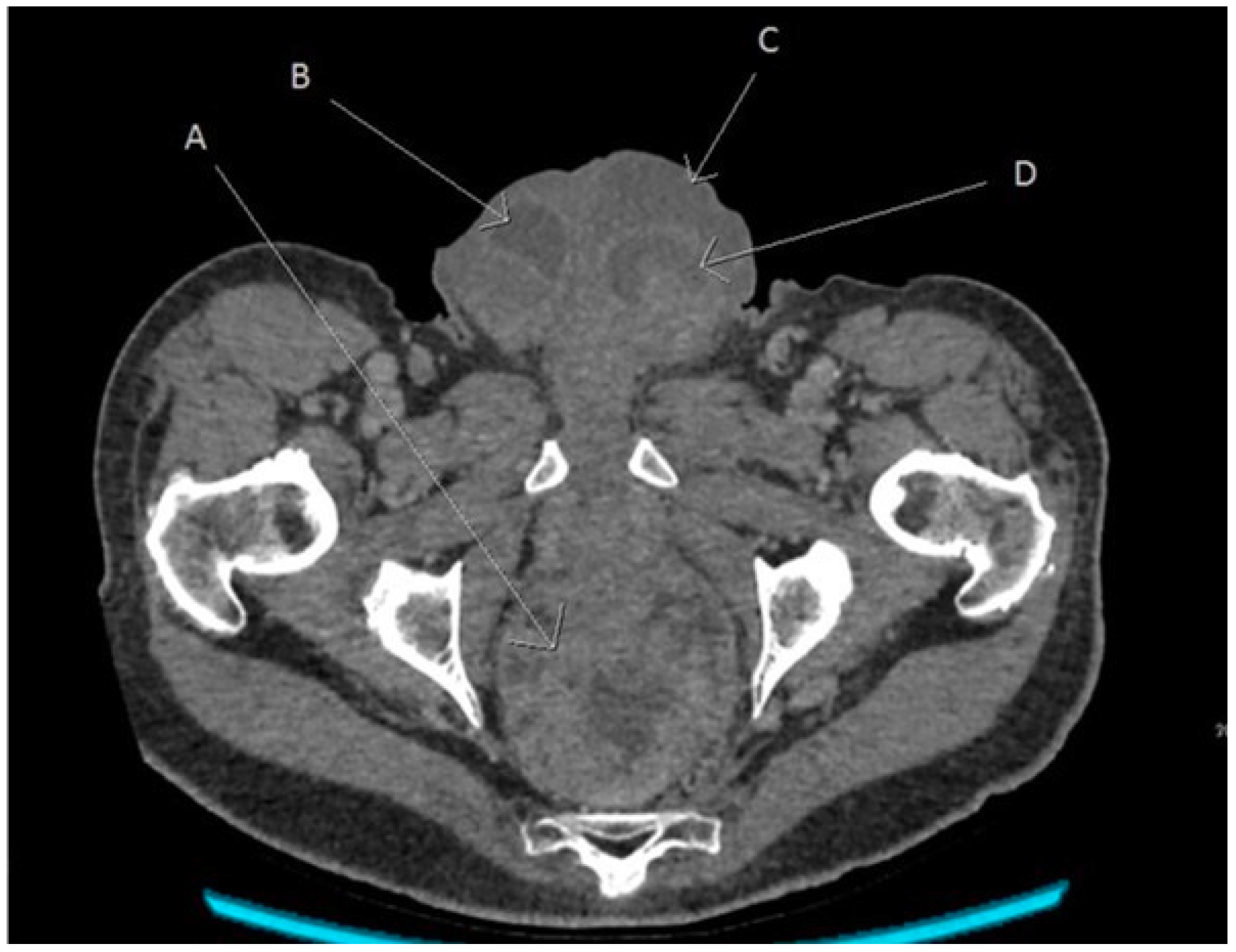 Reports 01 00017 g001 550