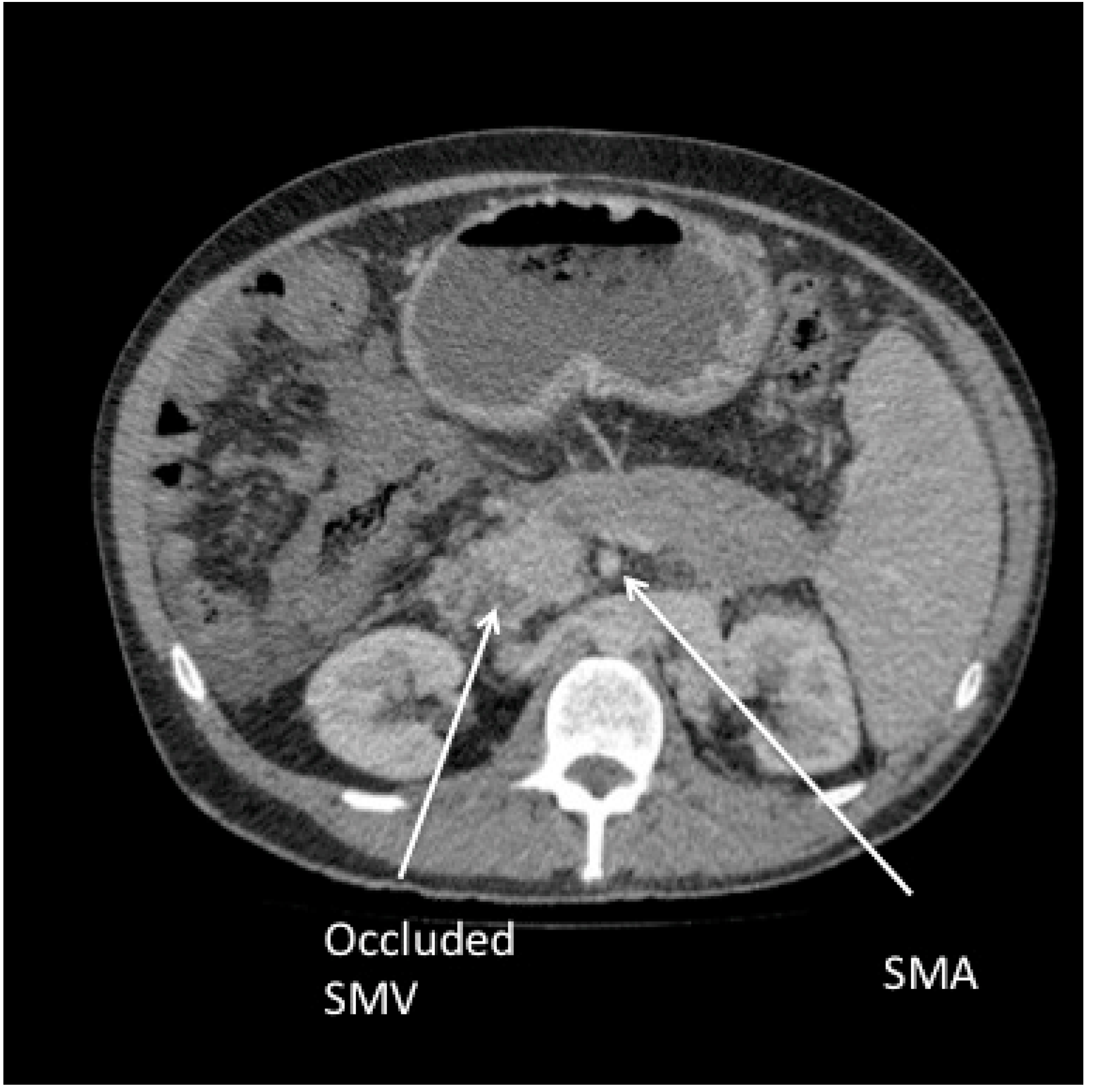 Reports 01 00018 g002 Reports 01 00018 g002