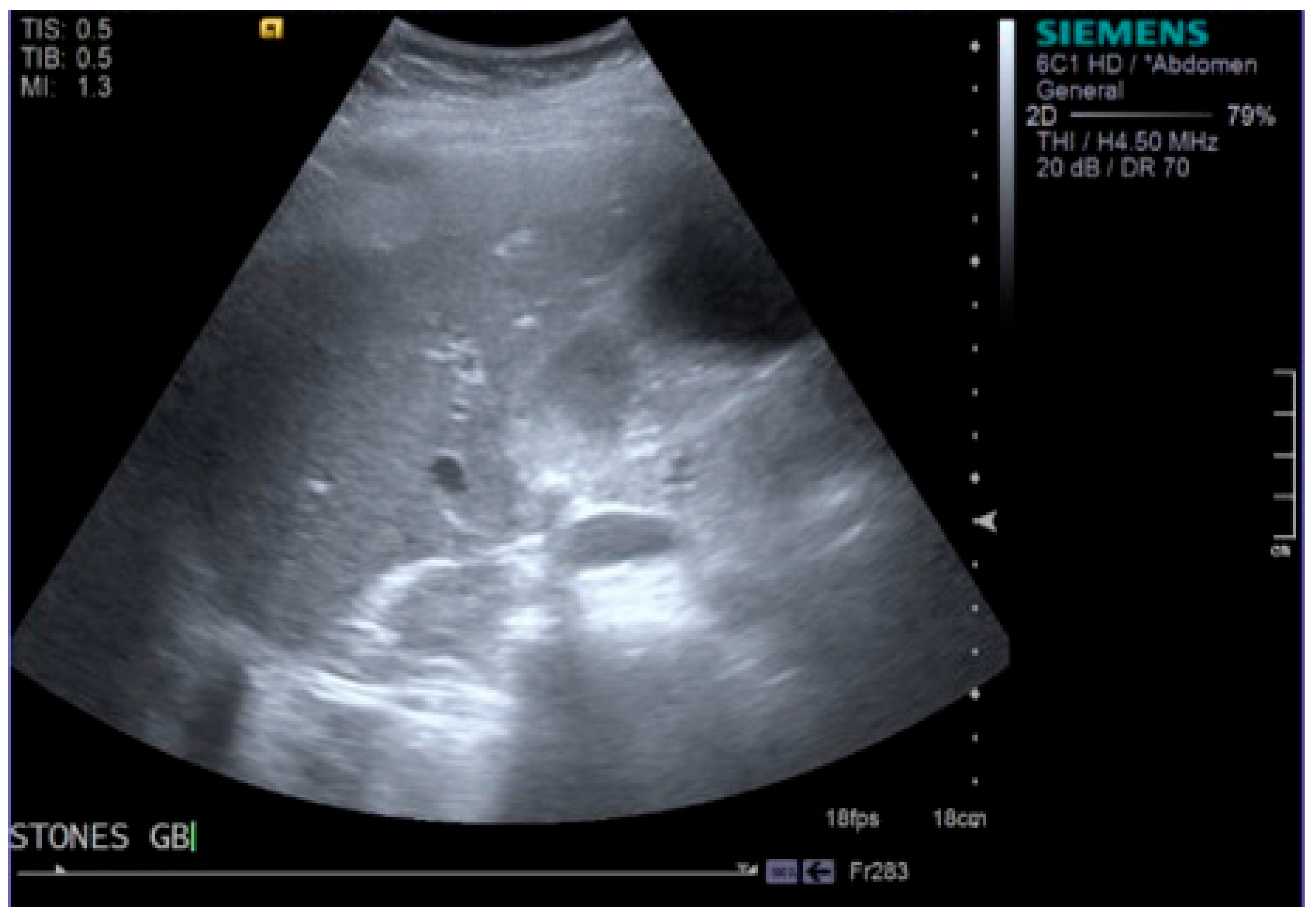 Reports 01 00019 g002 Reports 01 00019 g002