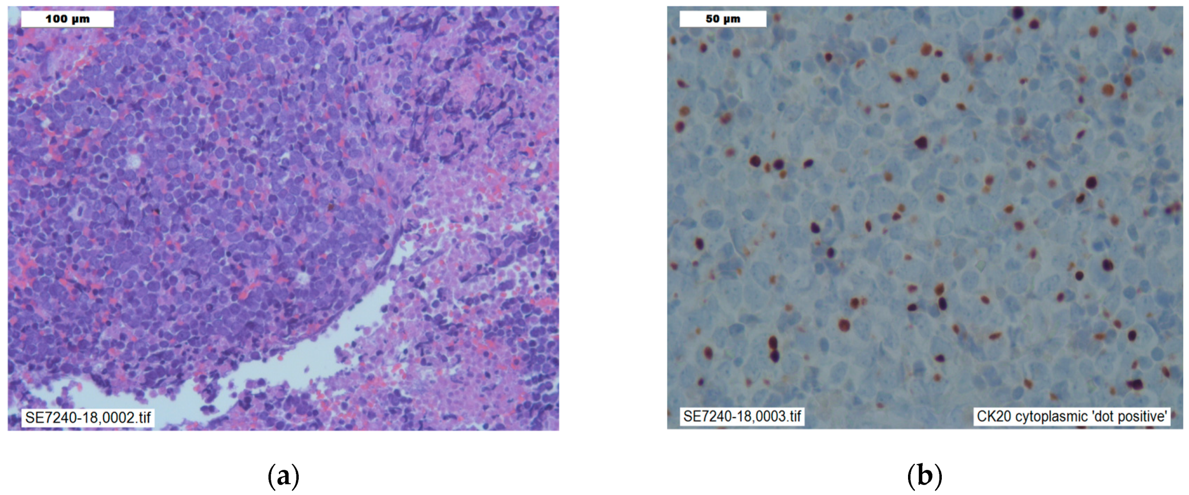 Reports 02 00021 g002 Reports 02 00021 g002