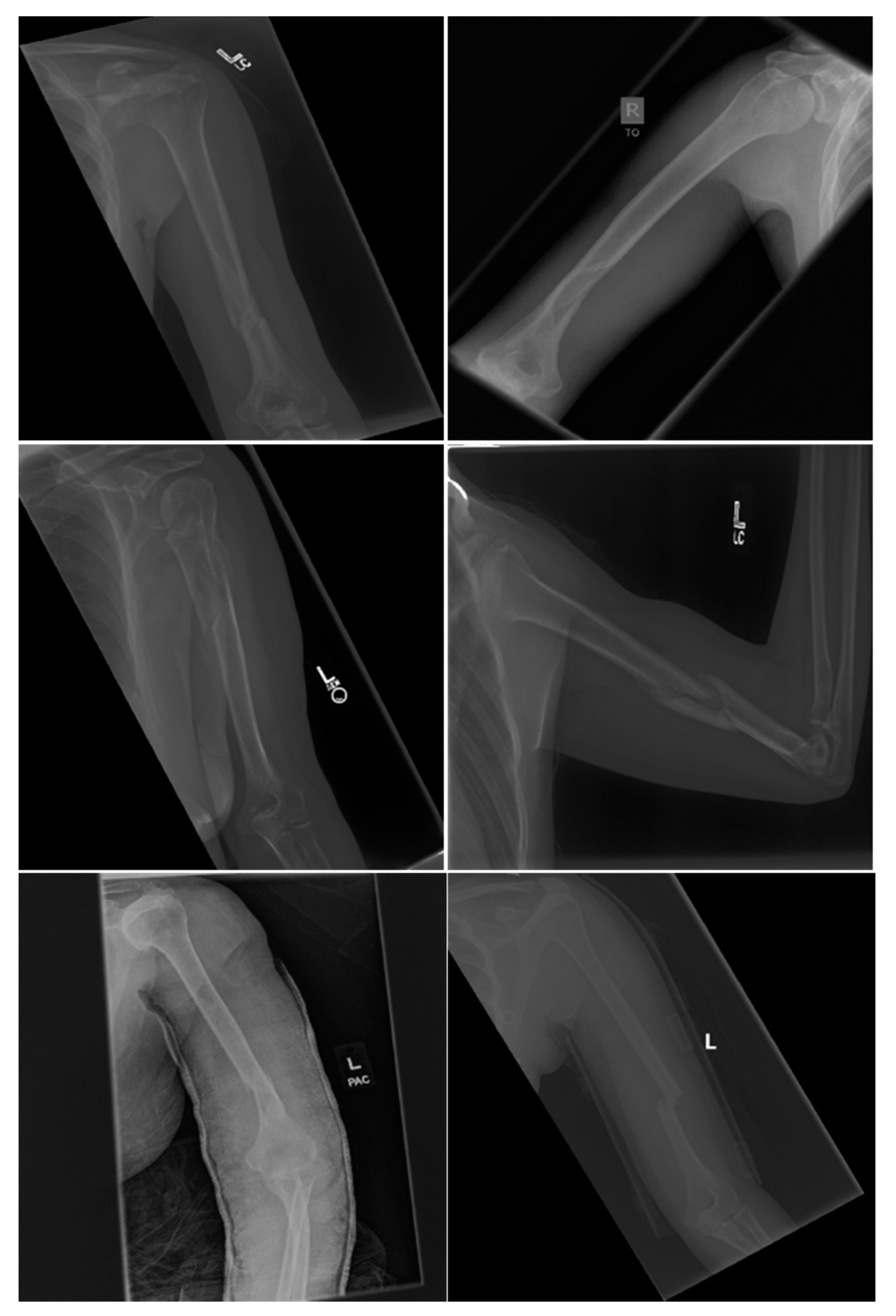 Reports 02 00026 g006 Reports 02 00026 g006