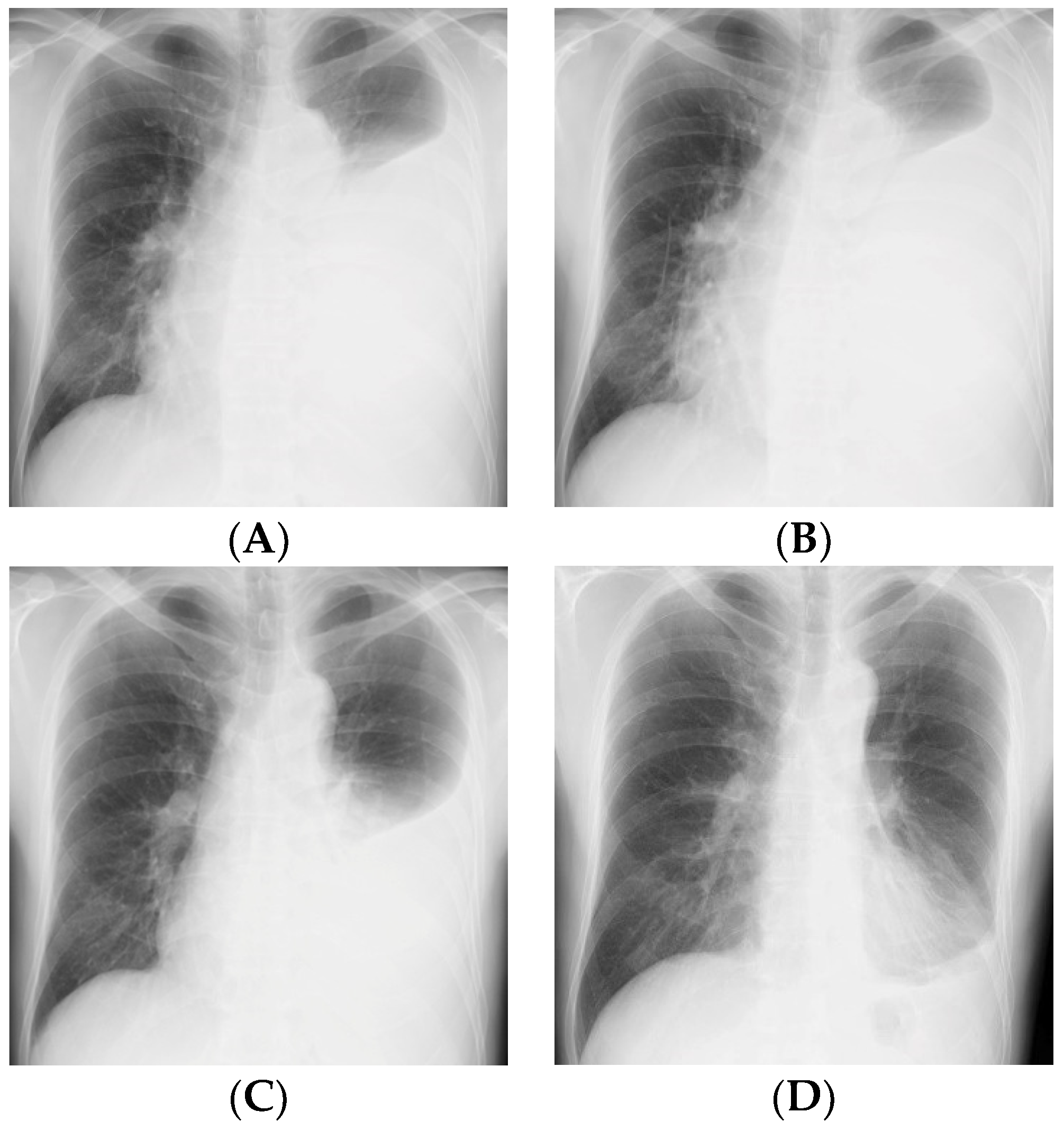 Reports 02 00027 g001 Reports 02 00027 g001