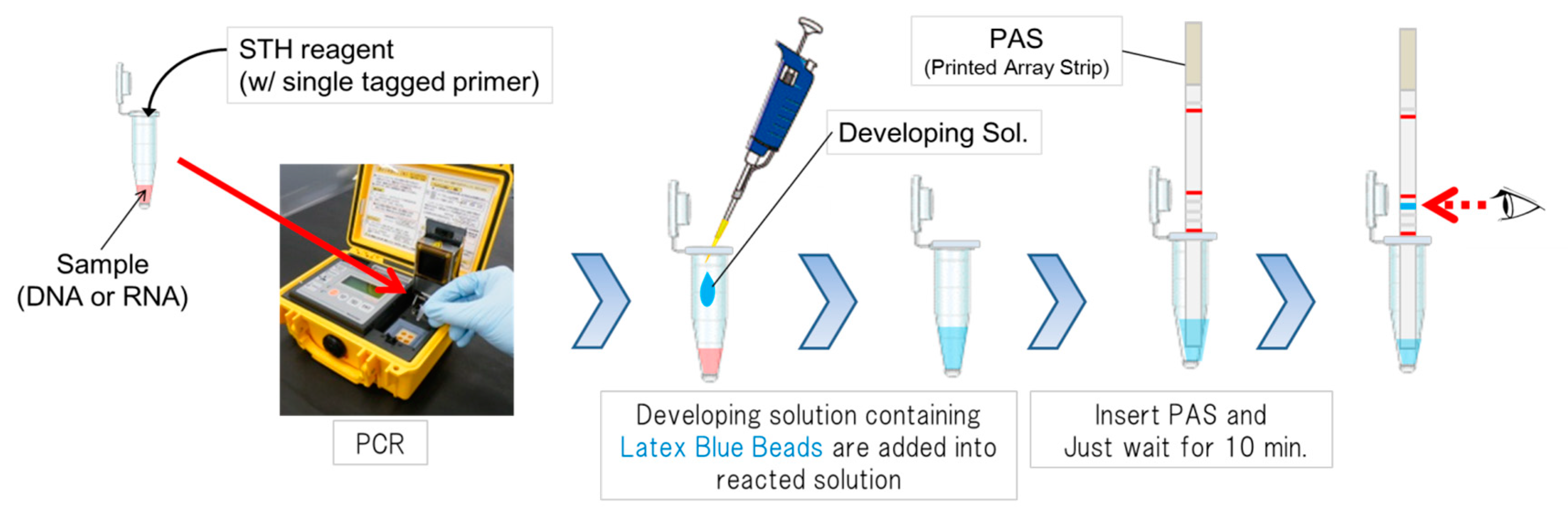 Reports 03 00005 g003 Reports 03 00005 g003