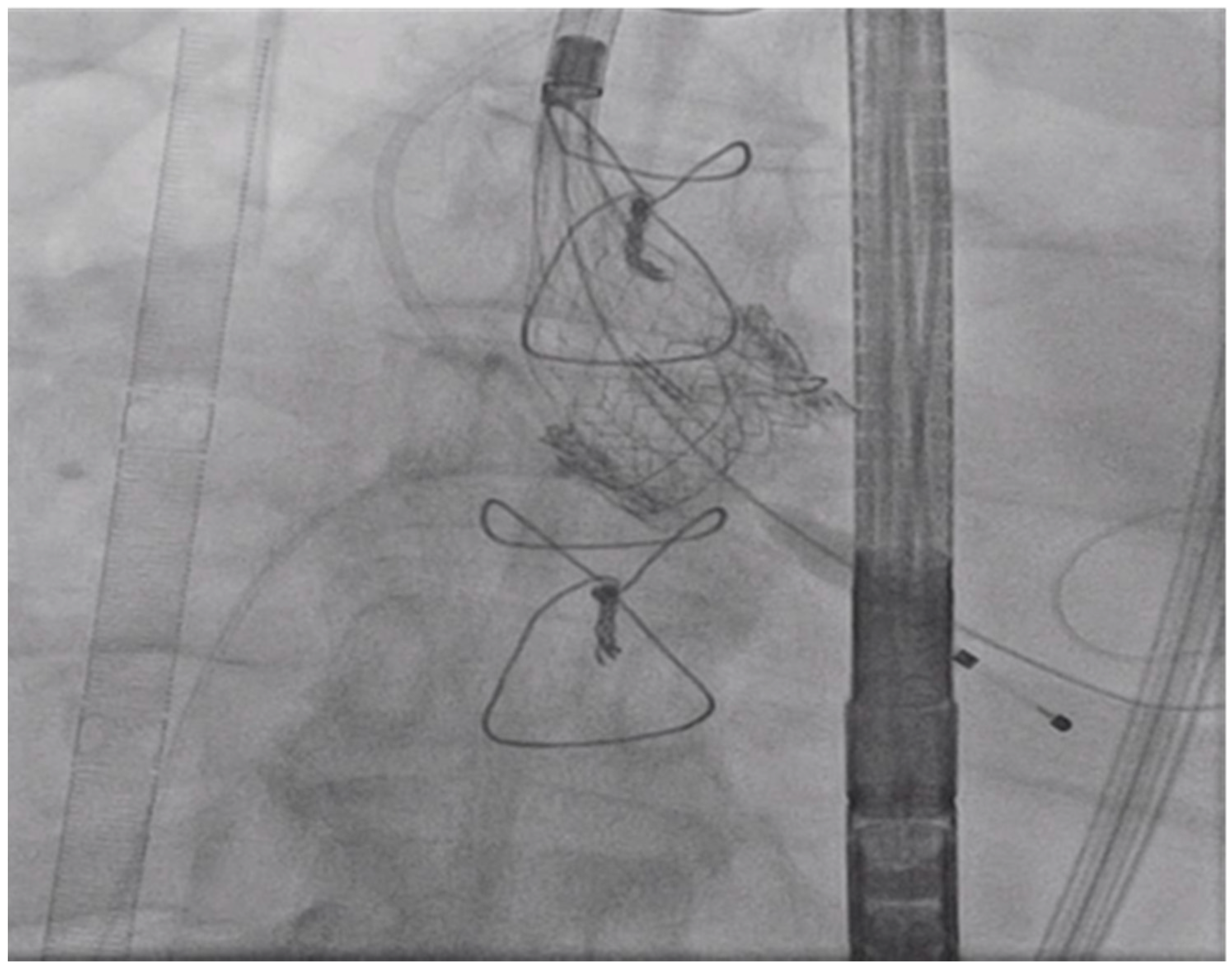 Reports 03 00007 g004 Reports 03 00007 g004