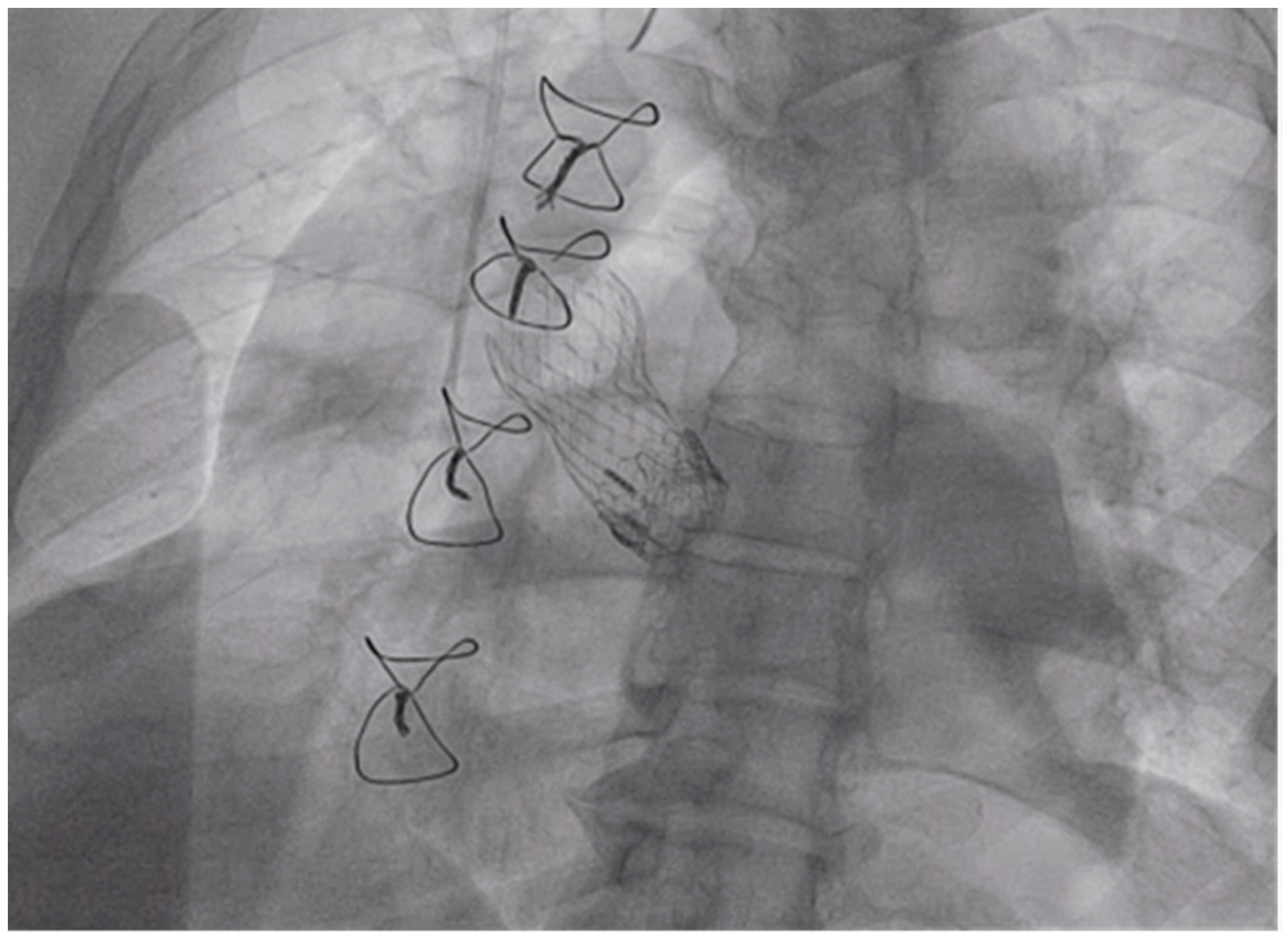 Reports 03 00007 g005 Reports 03 00007 g005