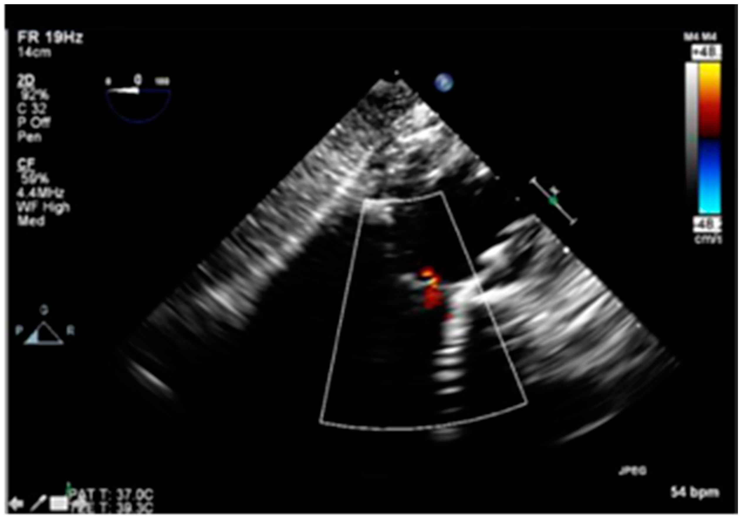 Reports 03 00007 g006 Reports 03 00007 g006