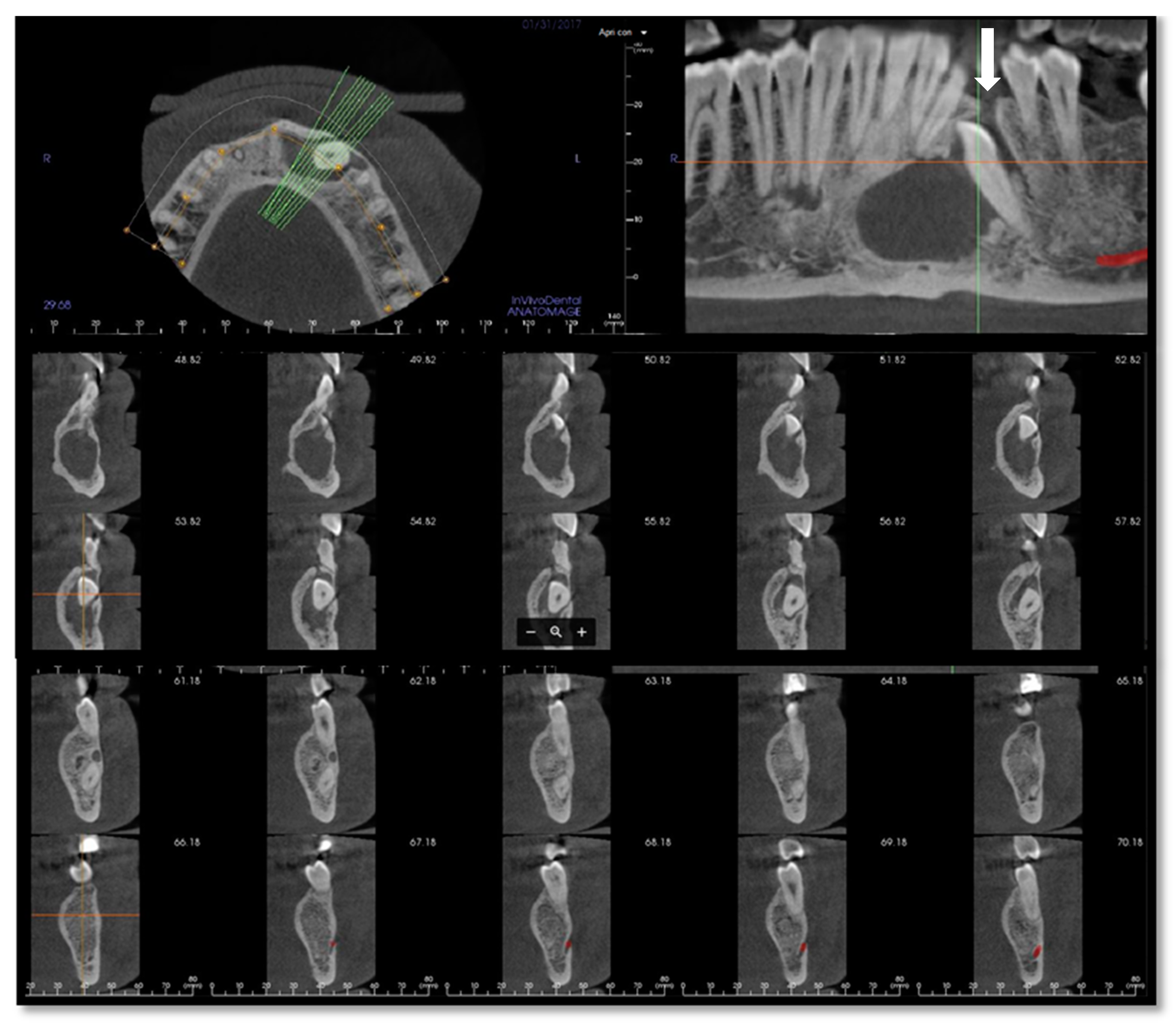 Reports 03 00012 g002 Reports 03 00012 g002