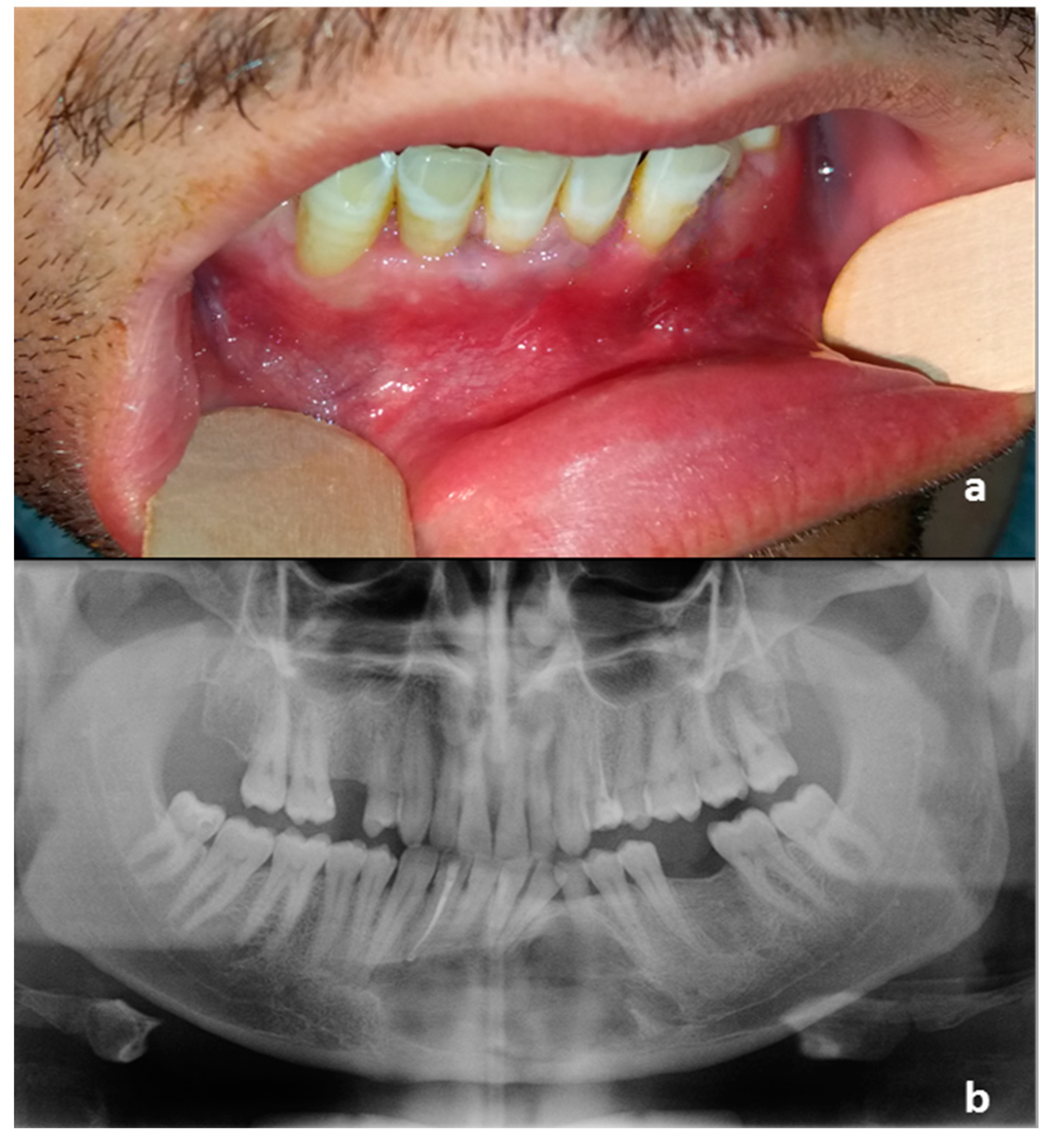 Reports 03 00012 g004 Reports 03 00012 g004