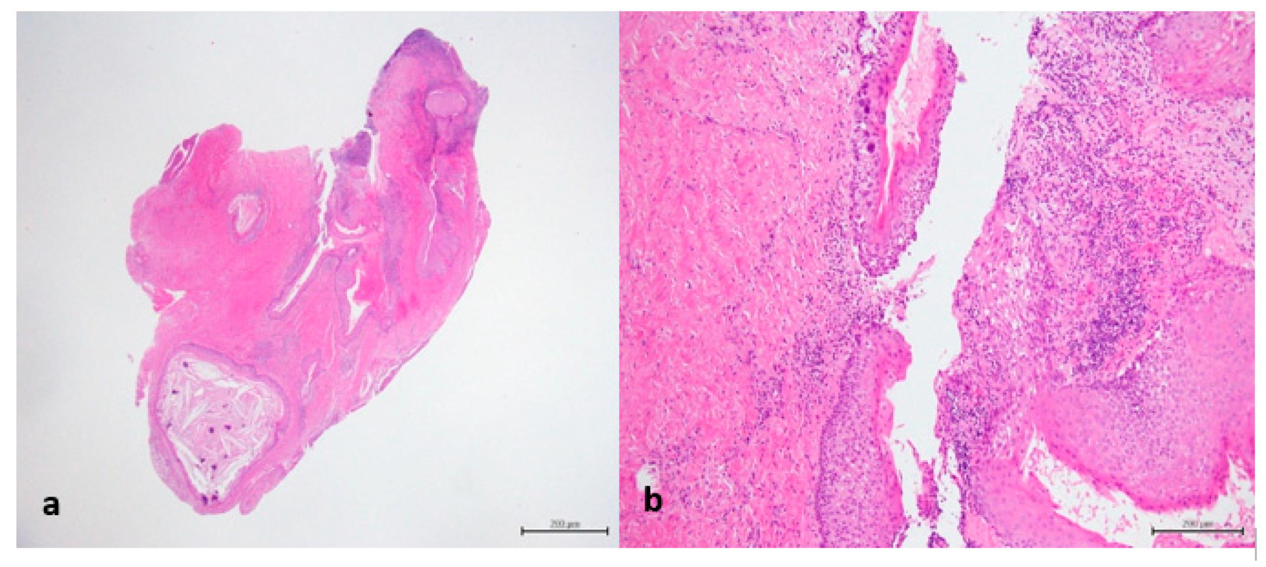 Reports 03 00012 g005 Reports 03 00012 g005