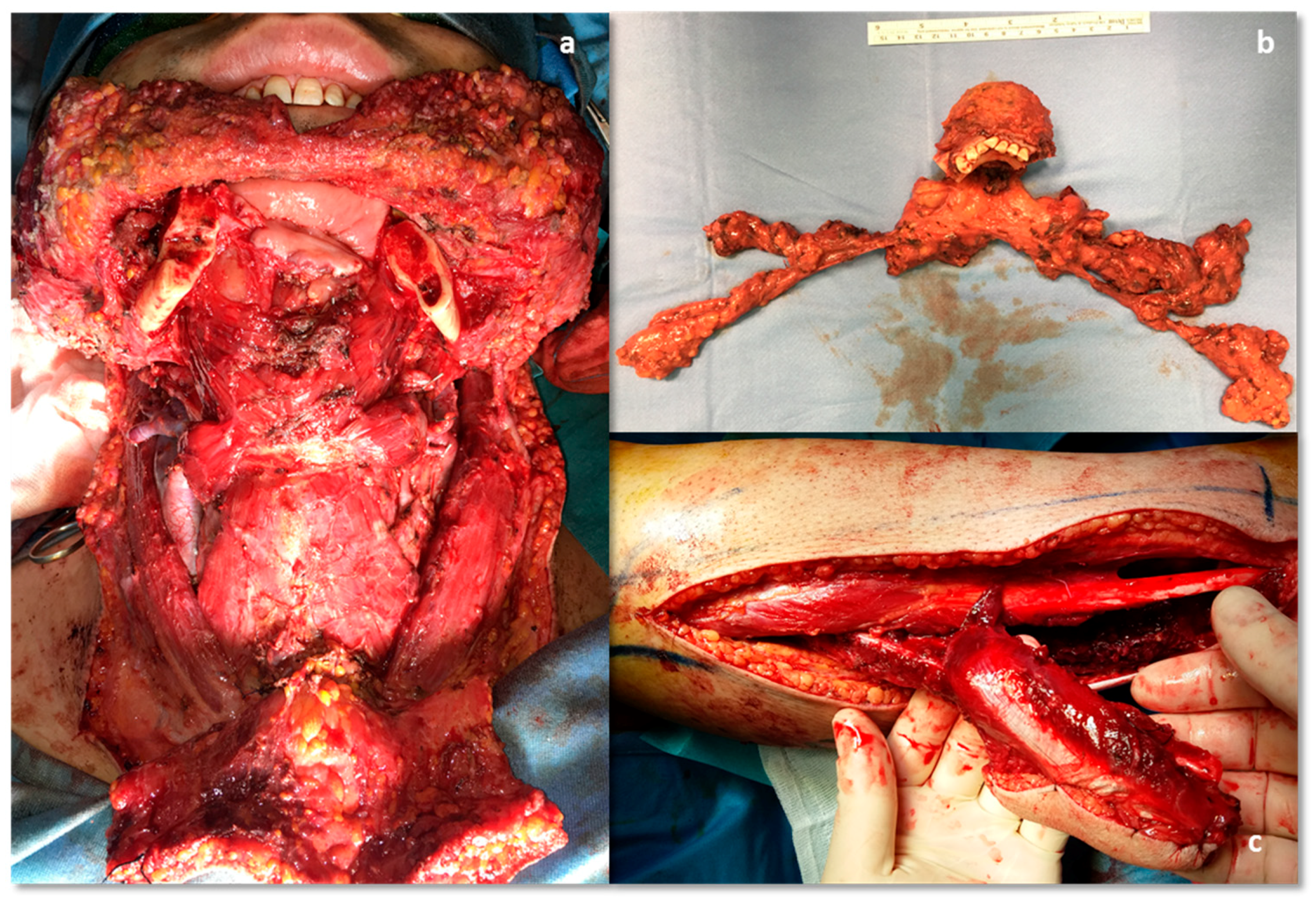 Reports 03 00012 g009 Reports 03 00012 g009