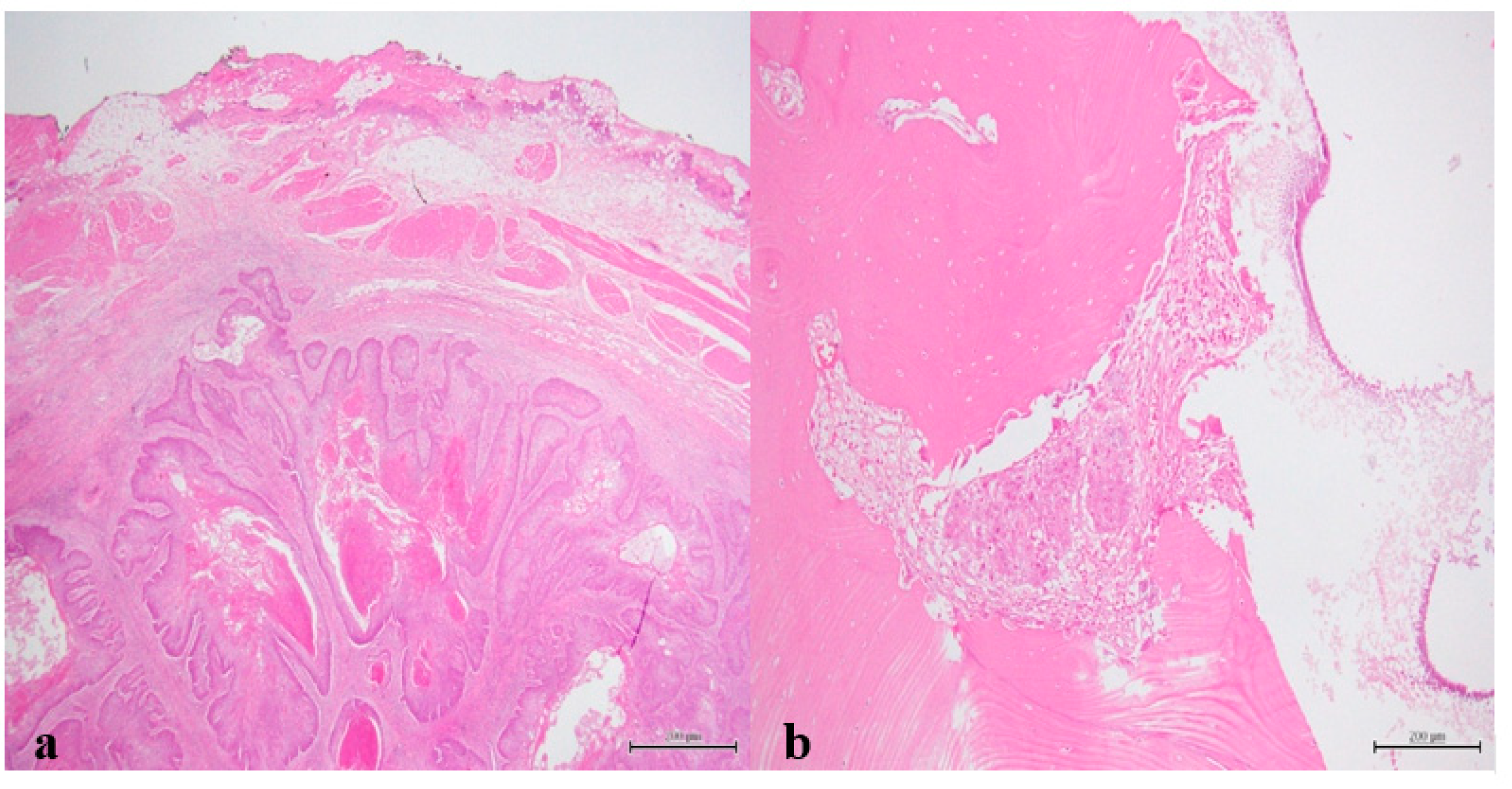 Reports 03 00012 g010 Reports 03 00012 g010