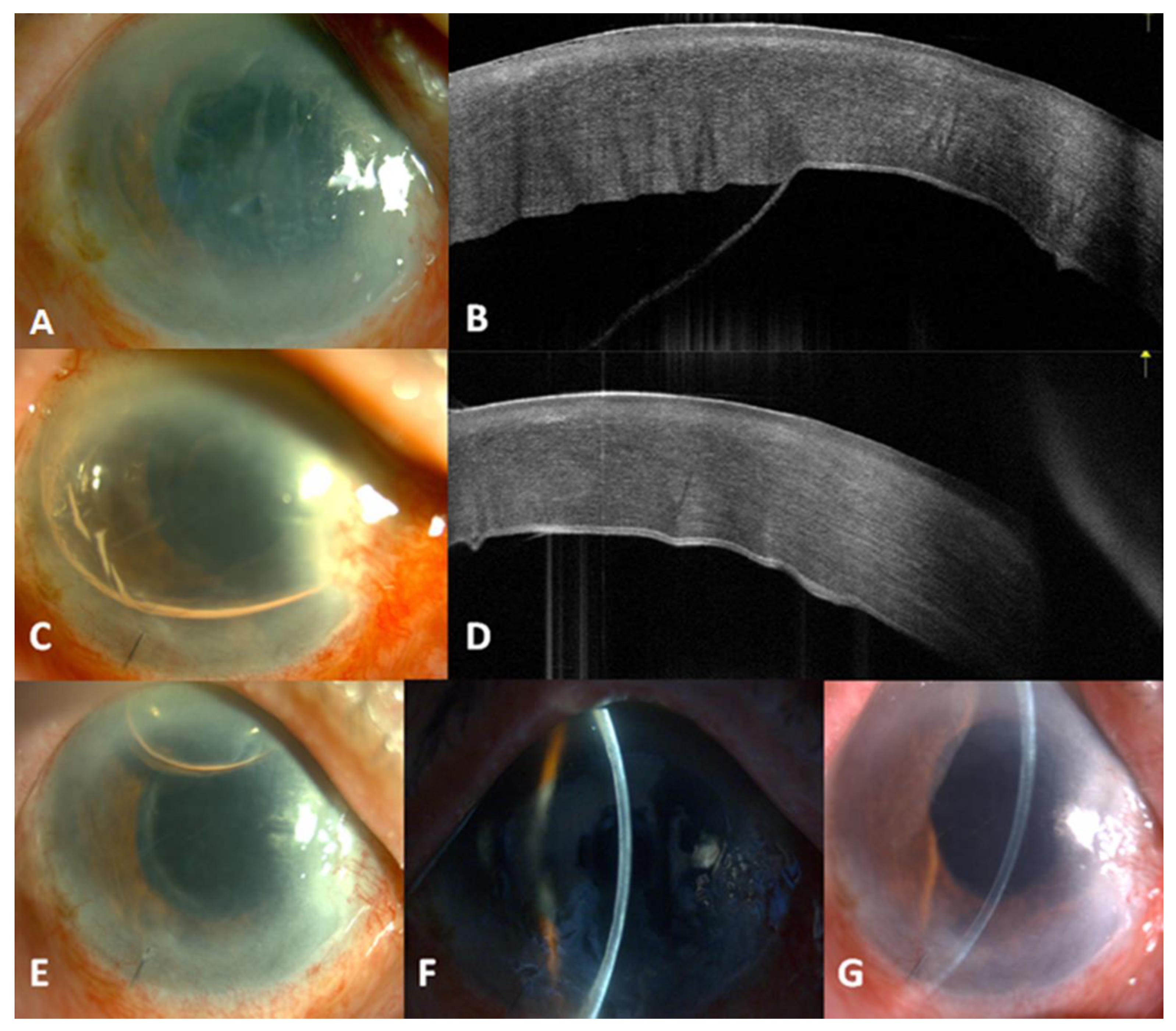 Reports 03 00013 g001