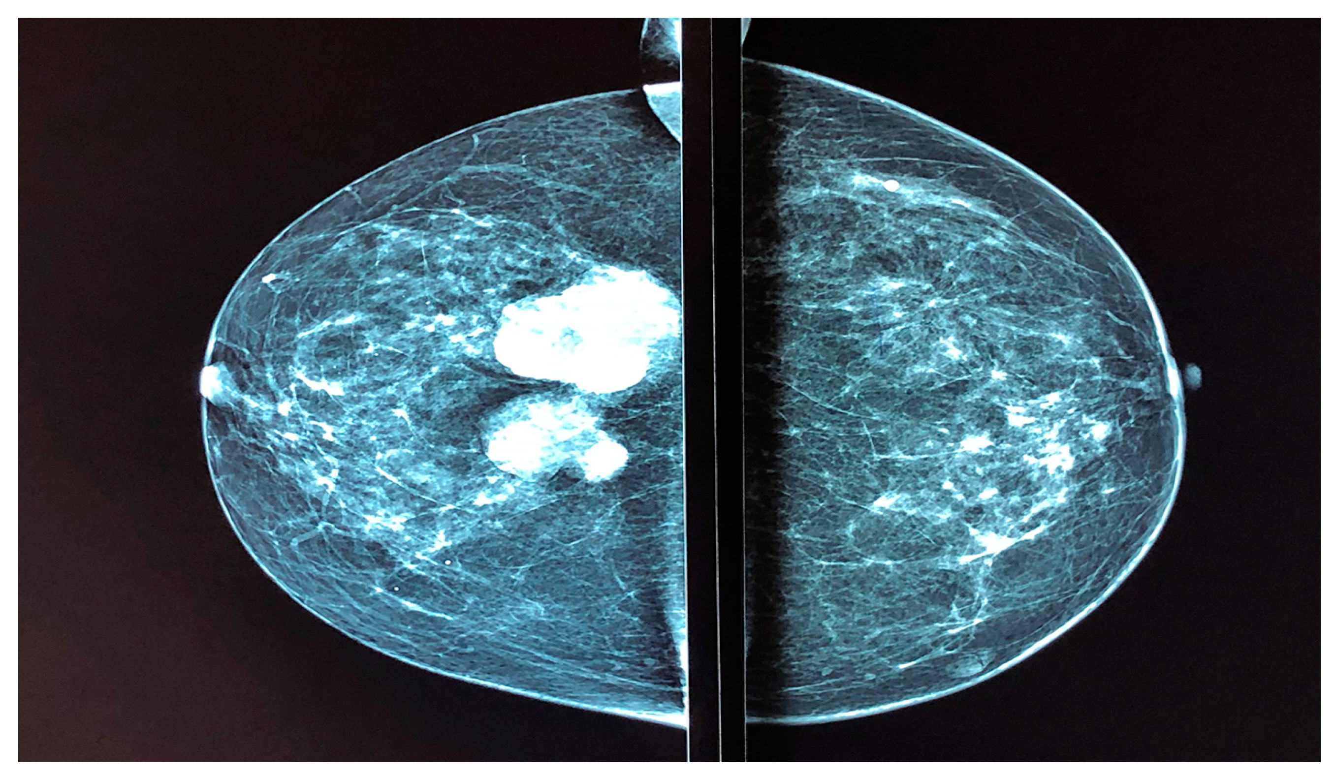 Reports 03 00015 g001