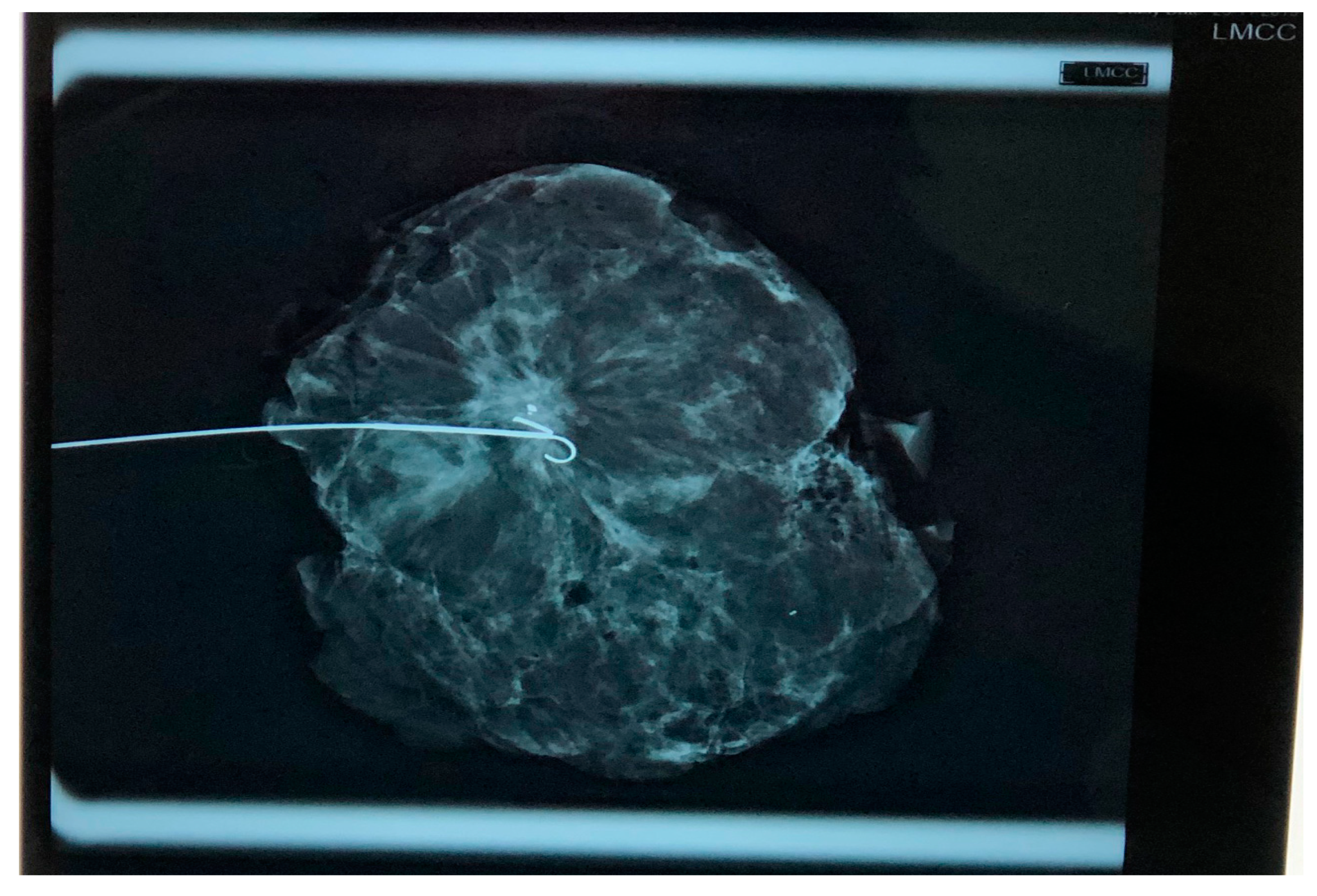 Reports 03 00015 g003